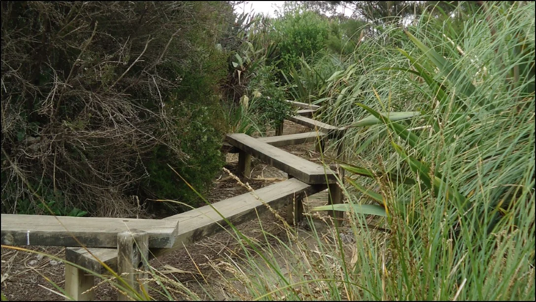 A dry pond area is ideal for a balance beam access route, and the ground beneath will be damp or even flooded, when there is a storm event. 