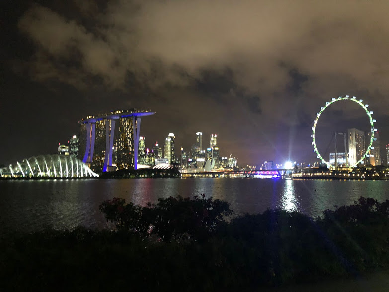 Setting the stage for the IFLA World Congress