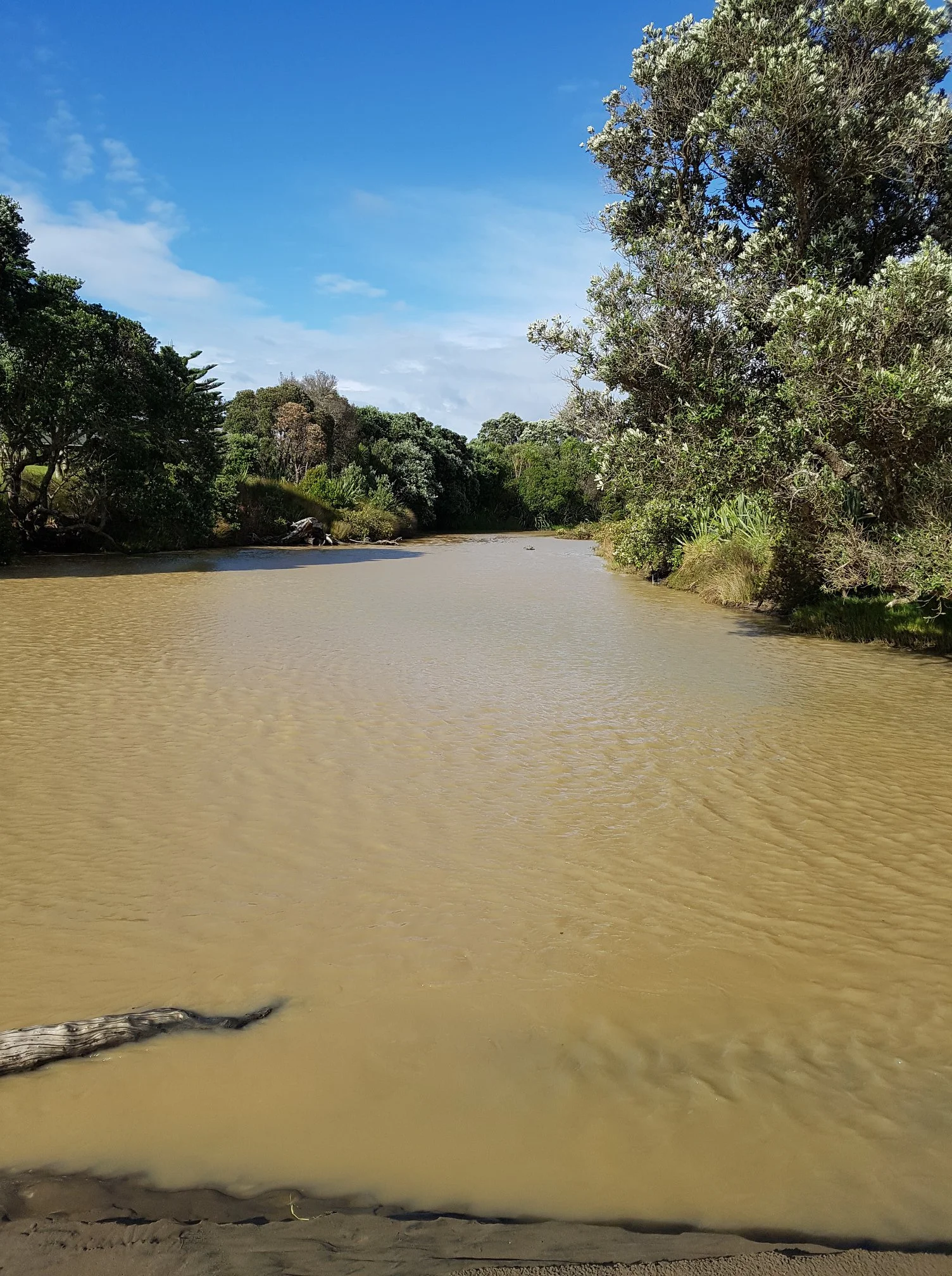 The Environment Court said it was not confident OHL would protect the Okura Estuary's marine ecology. Photo credit: Geoff Reid, Photographer and Environmentalist. 