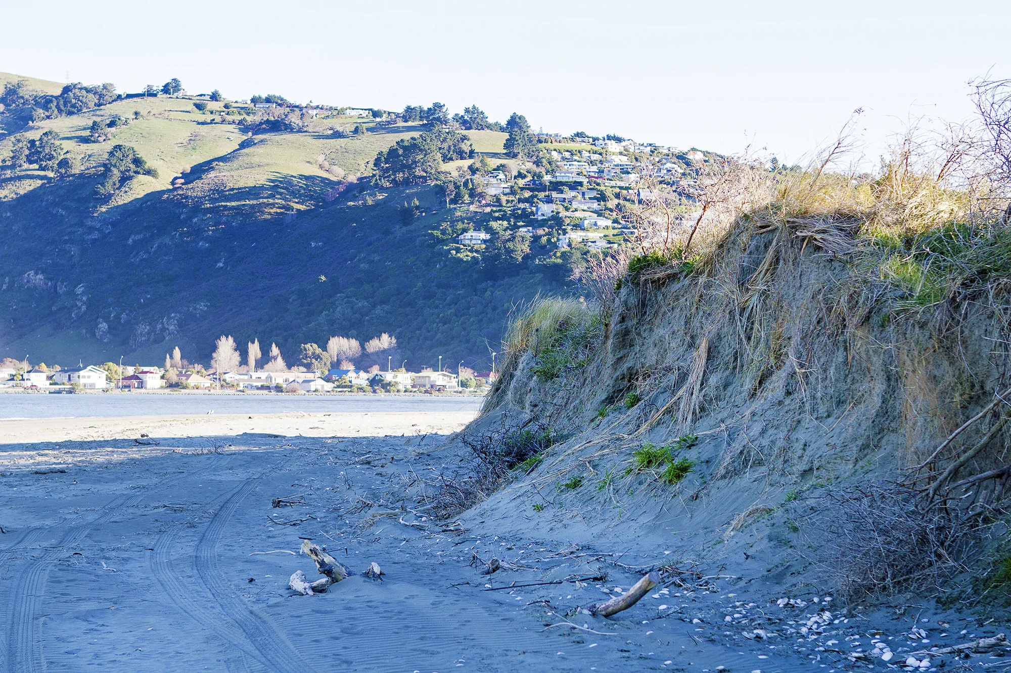 The dunes need careful consideration in future planning. Photo credit: Simon Makker, Regenerate Christchurch. 