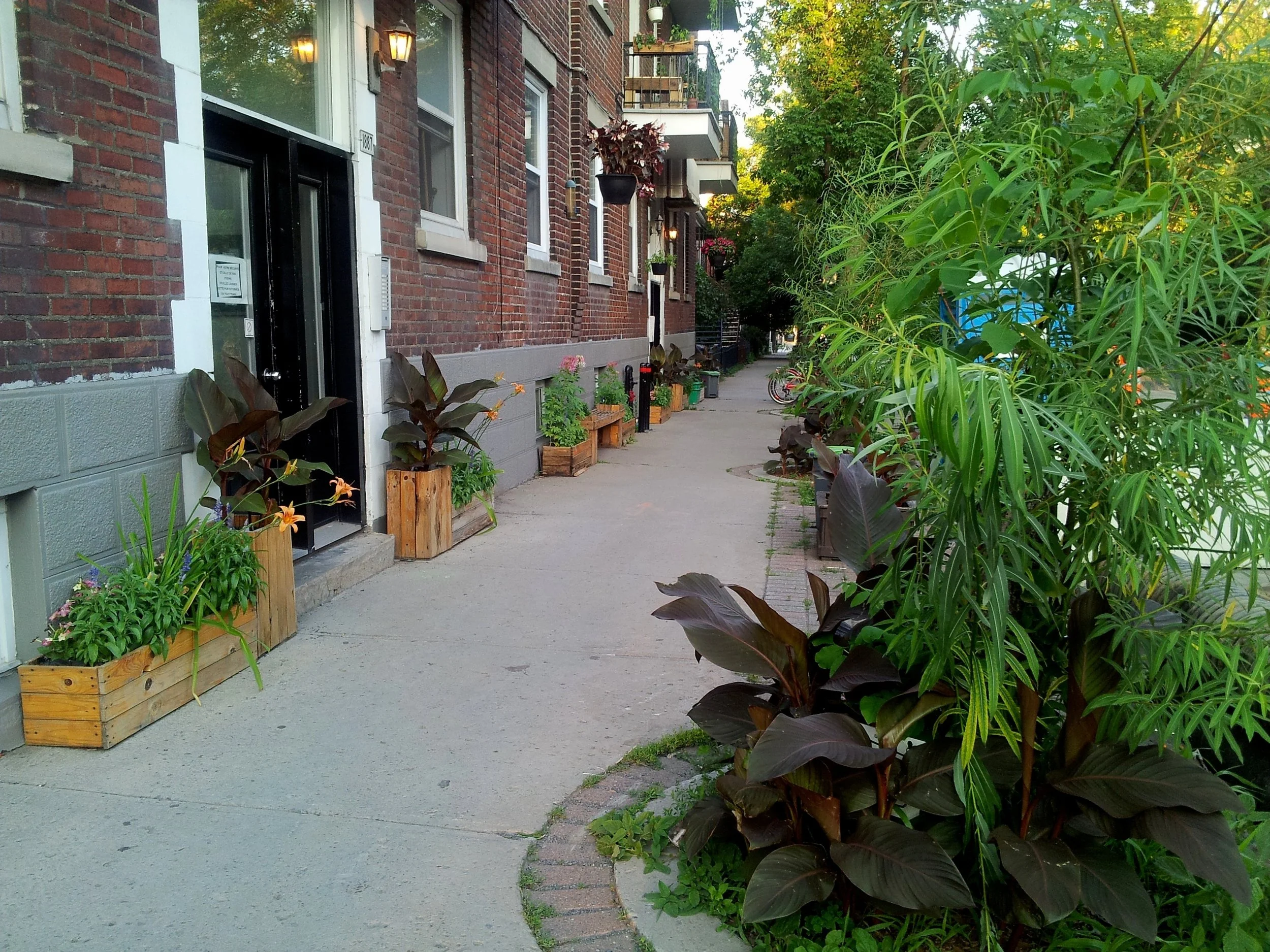 Montreal's clean, green alleyways