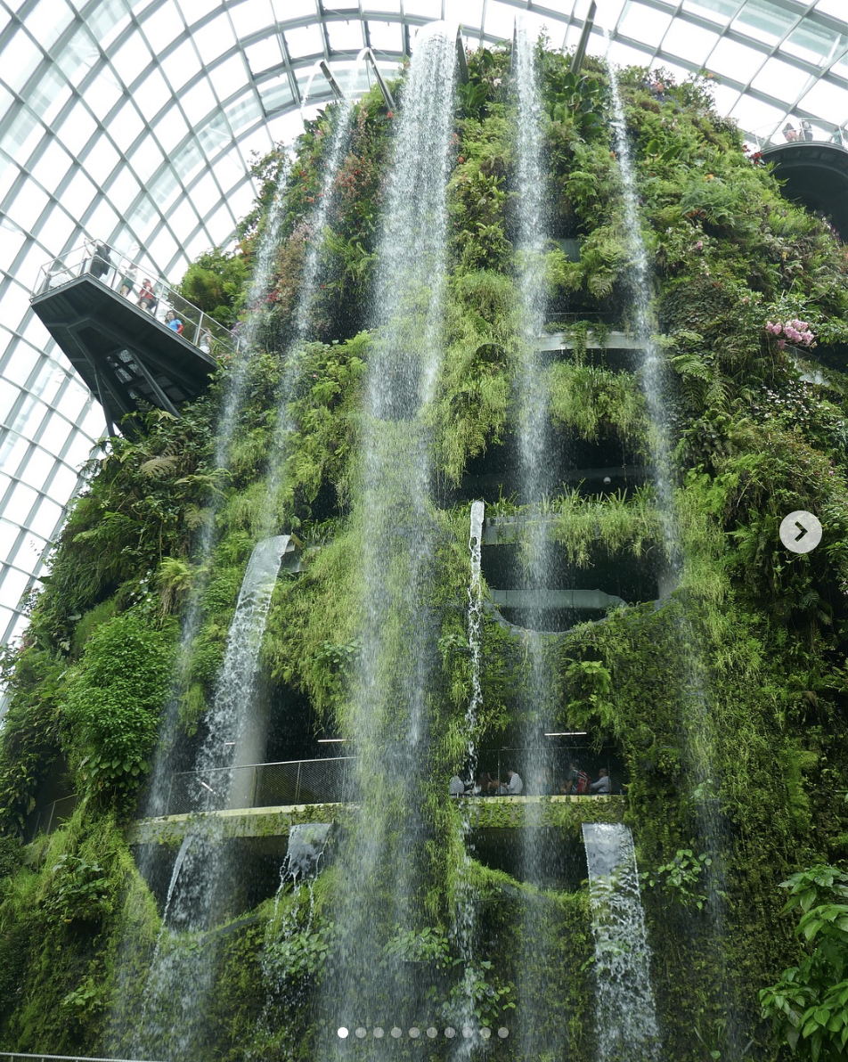 The conservatory at 'Gardens By The Bay' in Singapore. Sutherland describes it as the best conservatory she has had the privilege to visit.