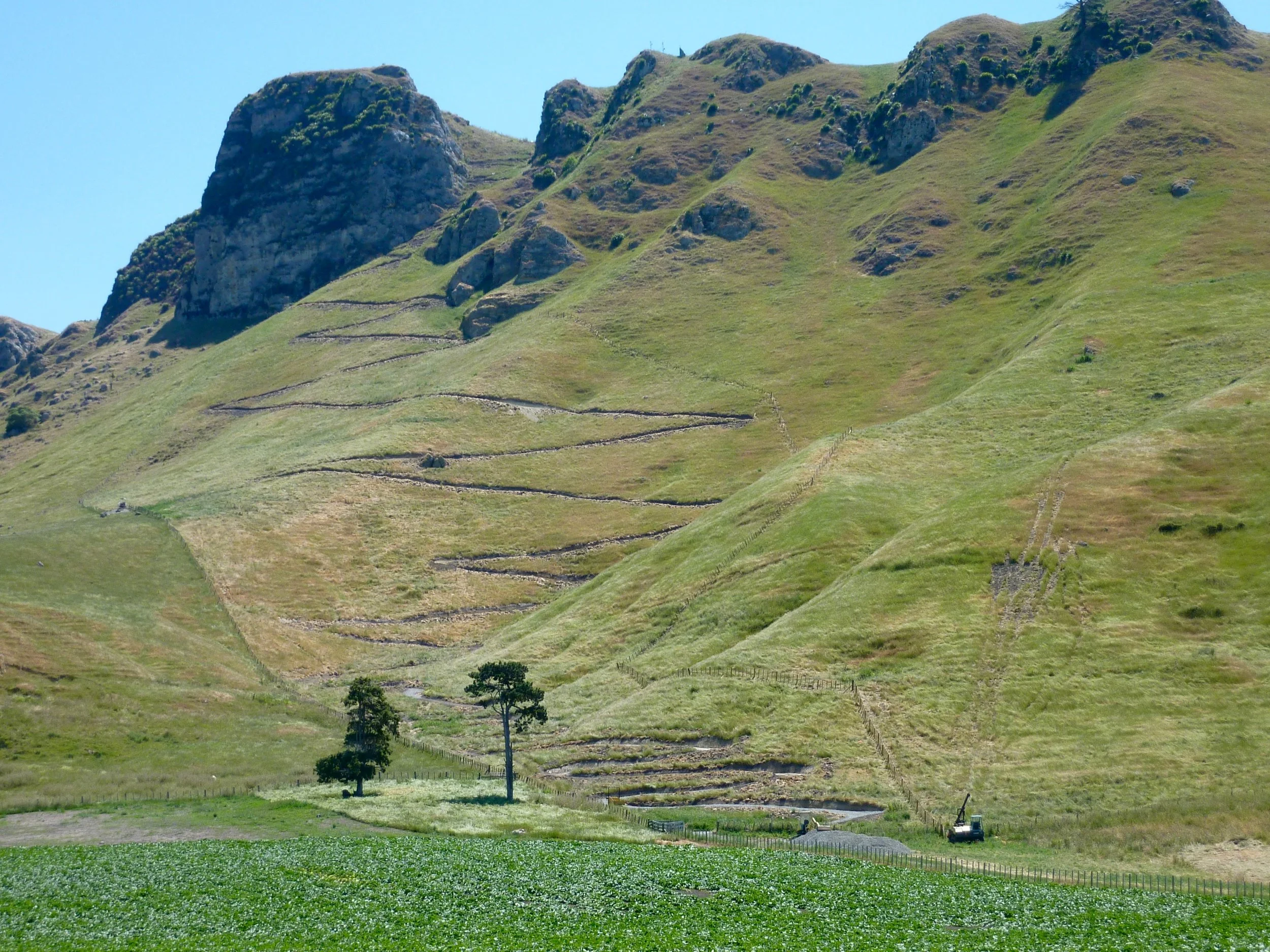 The walking track carved into Te Mata Peak. 