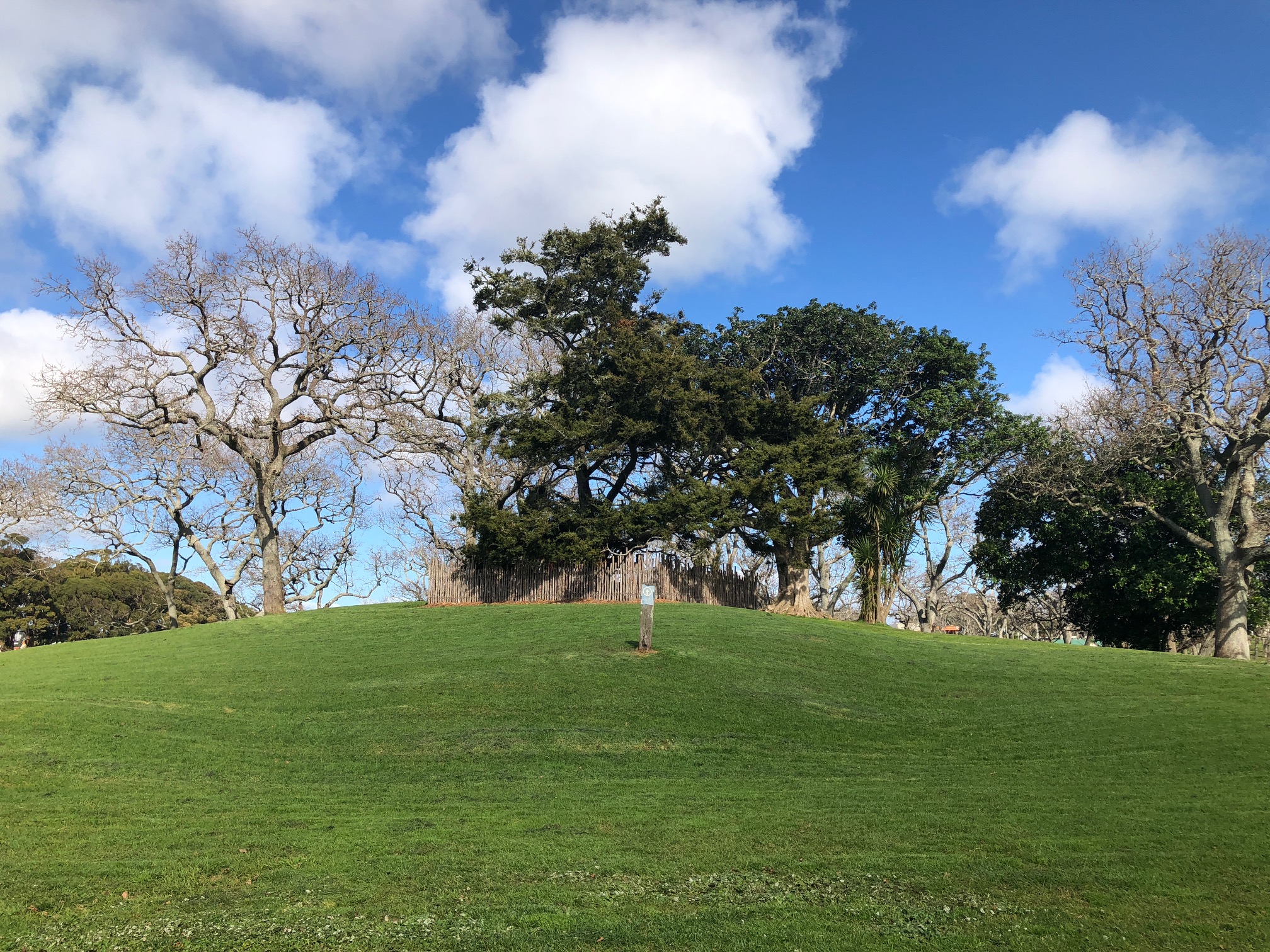 International award for the Auckland Domain