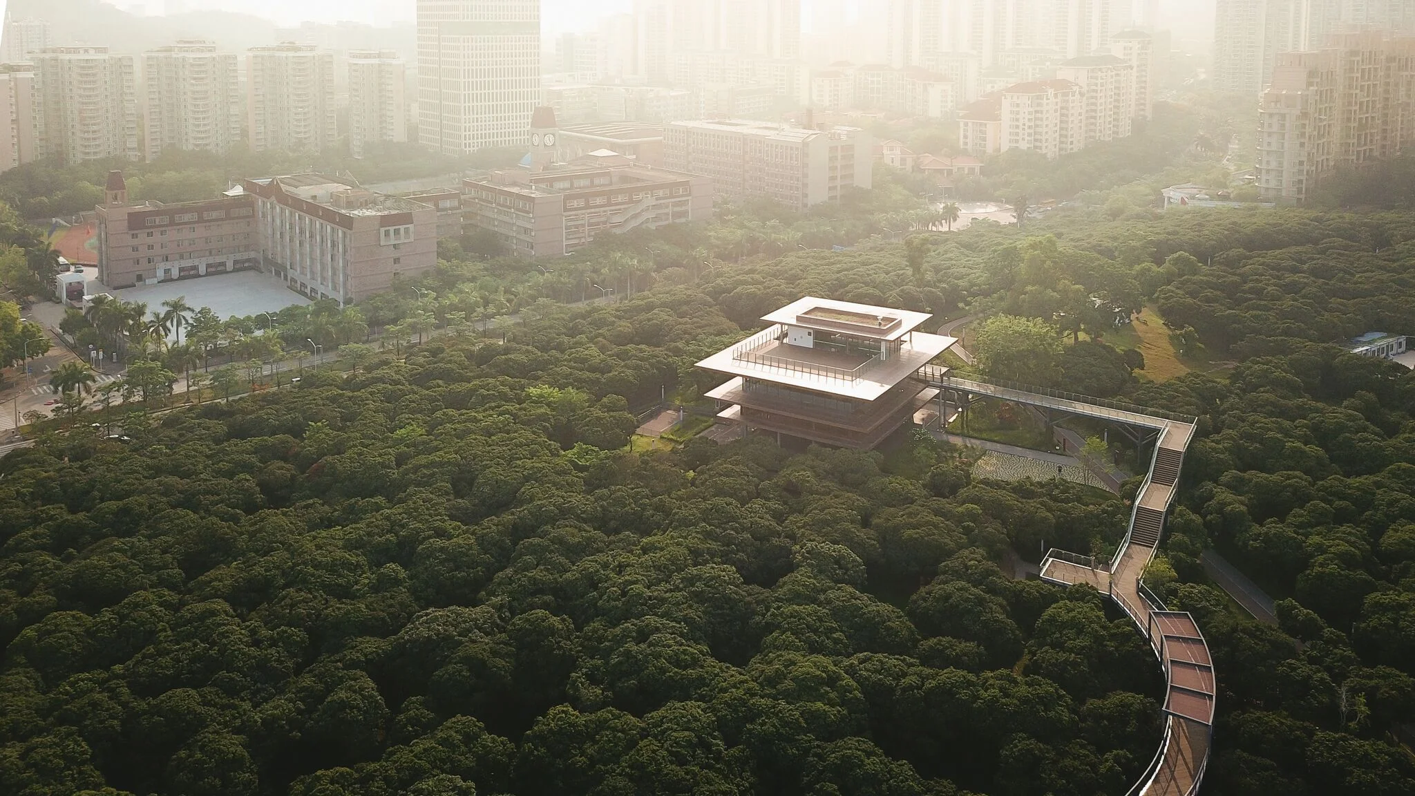 A treetop walkway becomes a pathway to learning in China