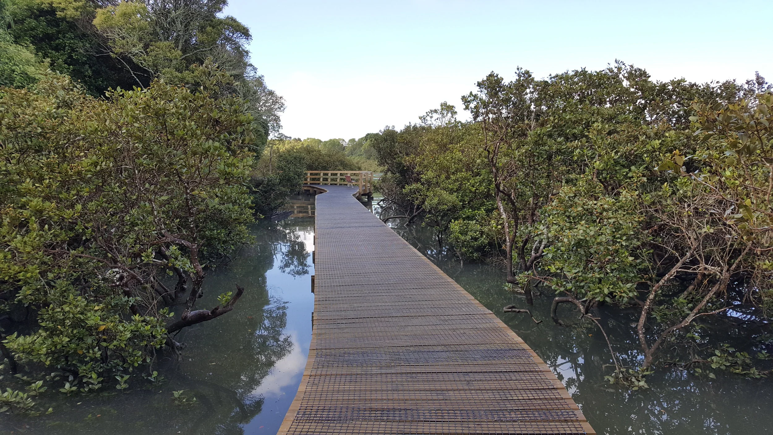 The Weona-Westmere coastal walkway in Auckland.