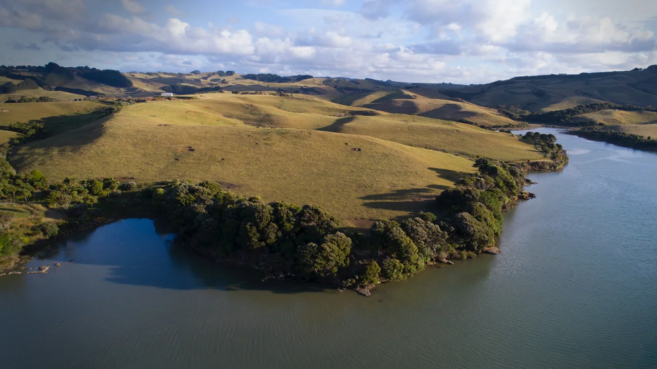 The Peacocke farm inside the Raglan harbour.