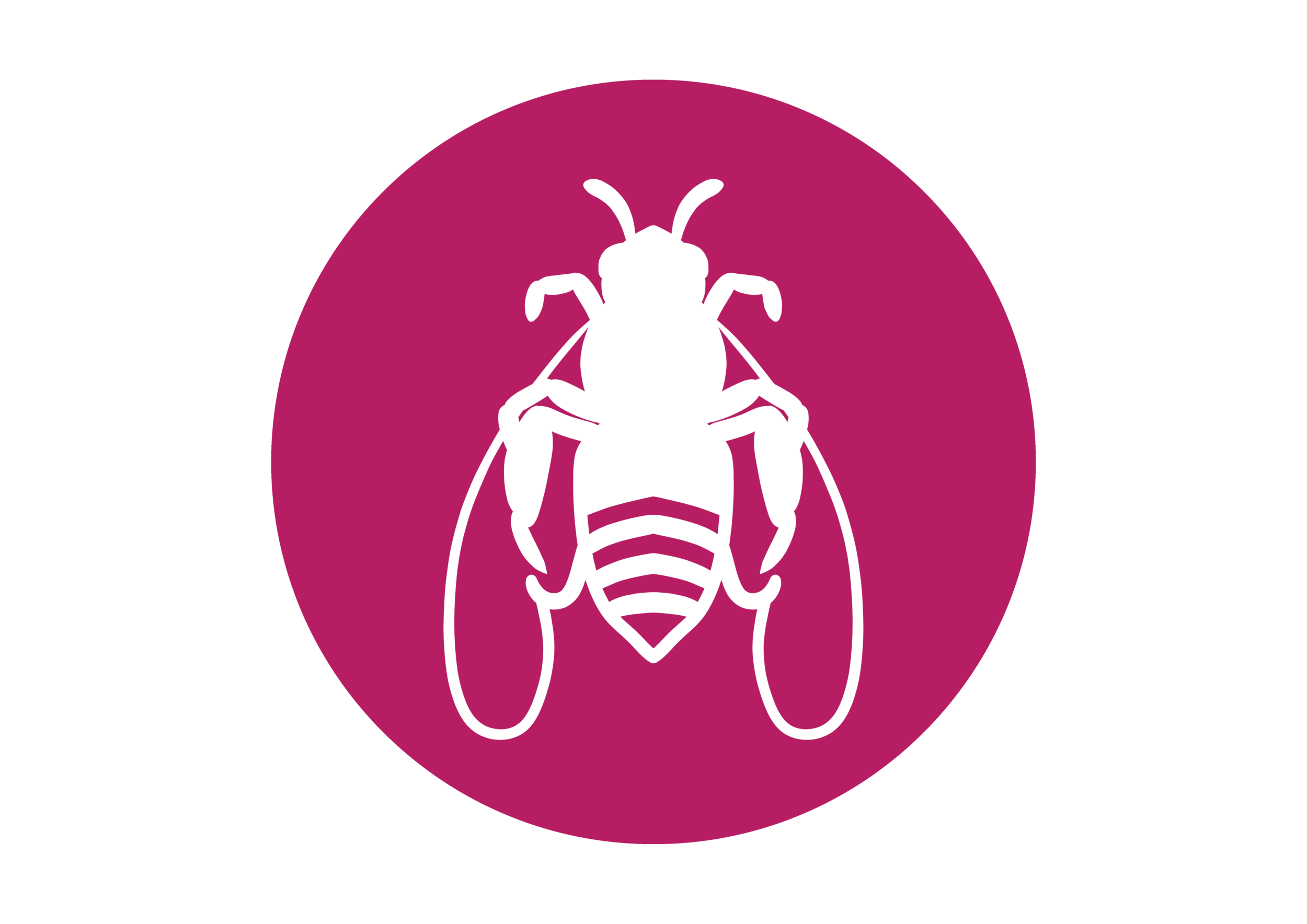 Landscape architecture first for FESTA this year