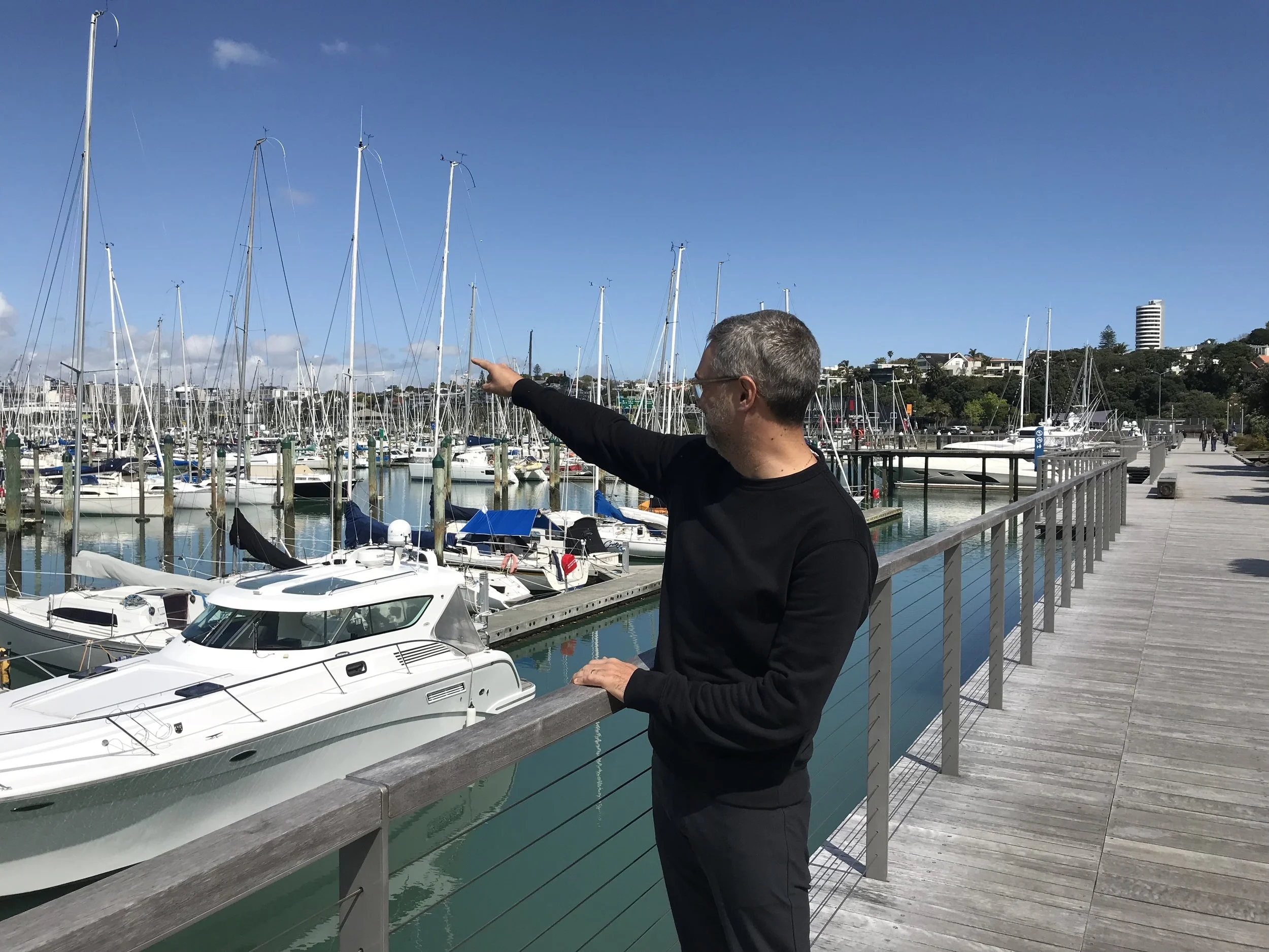 Beauty in landscape architecture - an argument against it