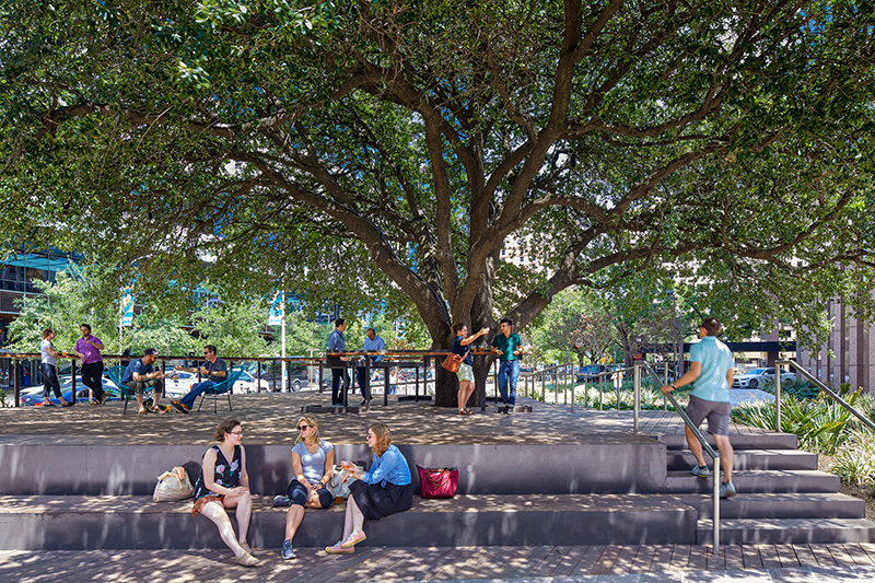 Austin's "Fareground" proves a winner