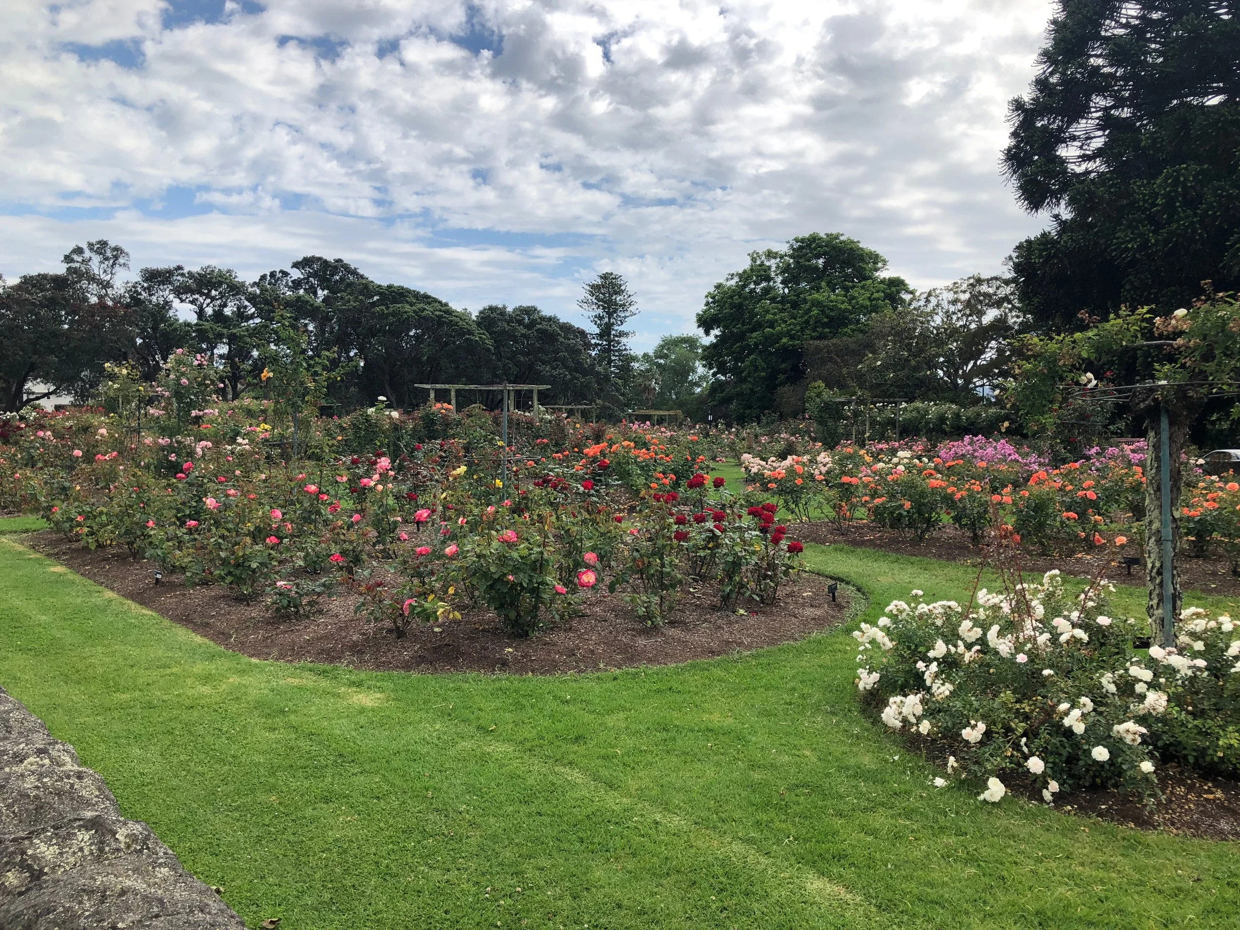 National Erebus Memorial shortlist due