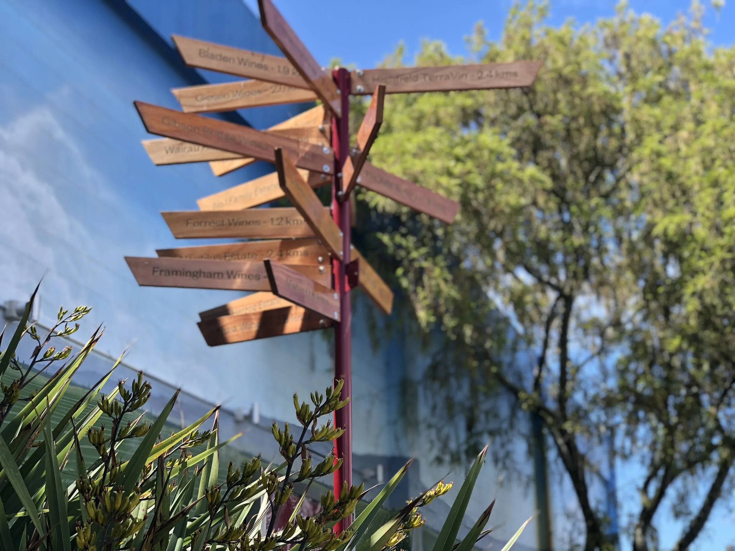 A public intervention in Marlborough