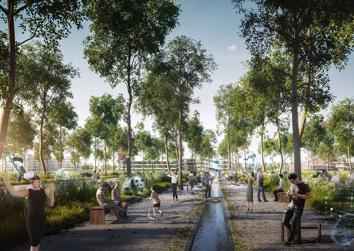 The award winning panda plan