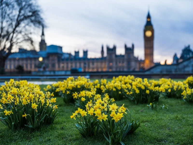 Bracing for Brexit - and its impact on landscape architects