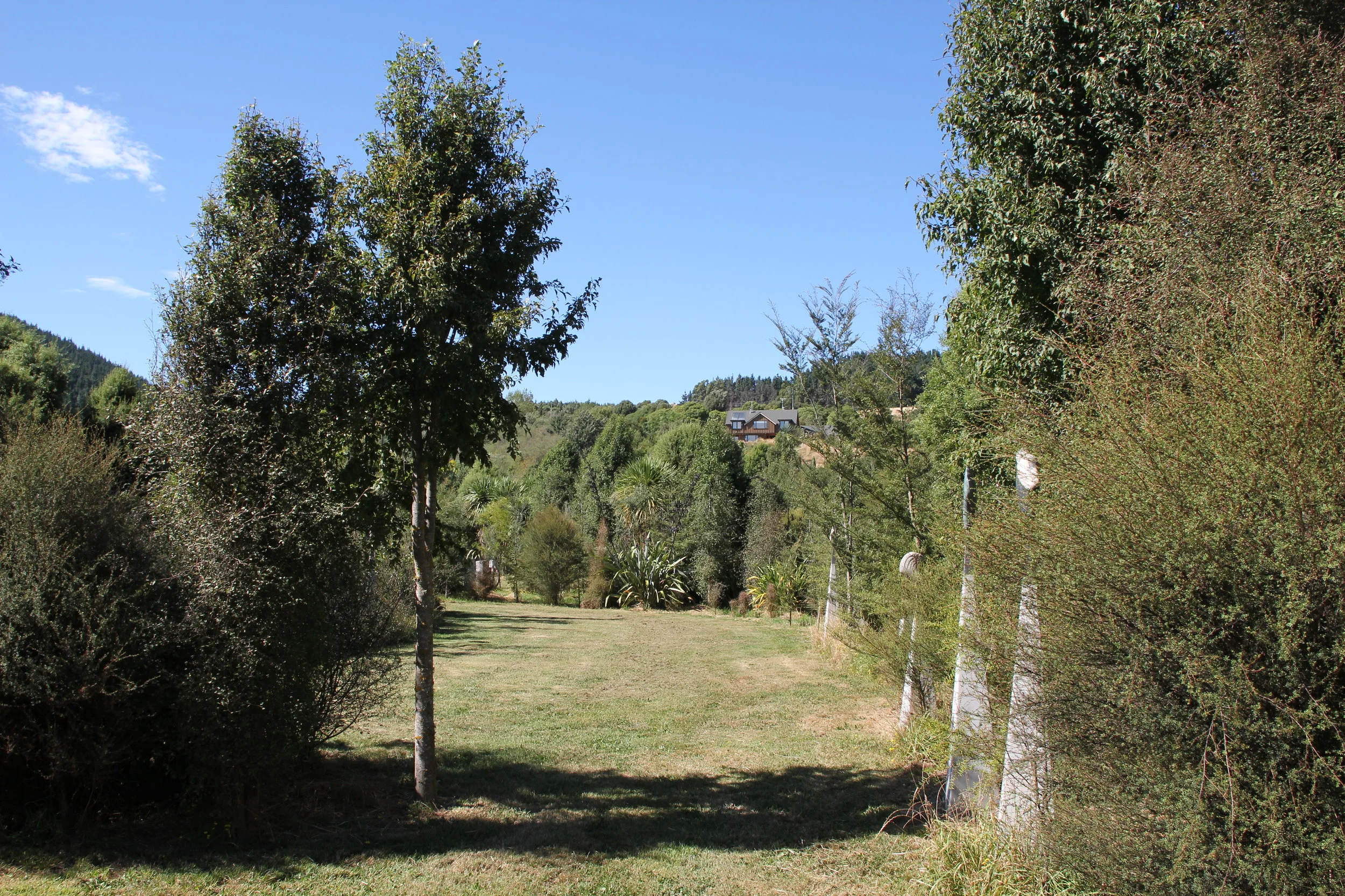 Often when Annabel and Peter ask visitors what they like most about the exhibition they'll say 'the garden', instead of picking a sculpture.