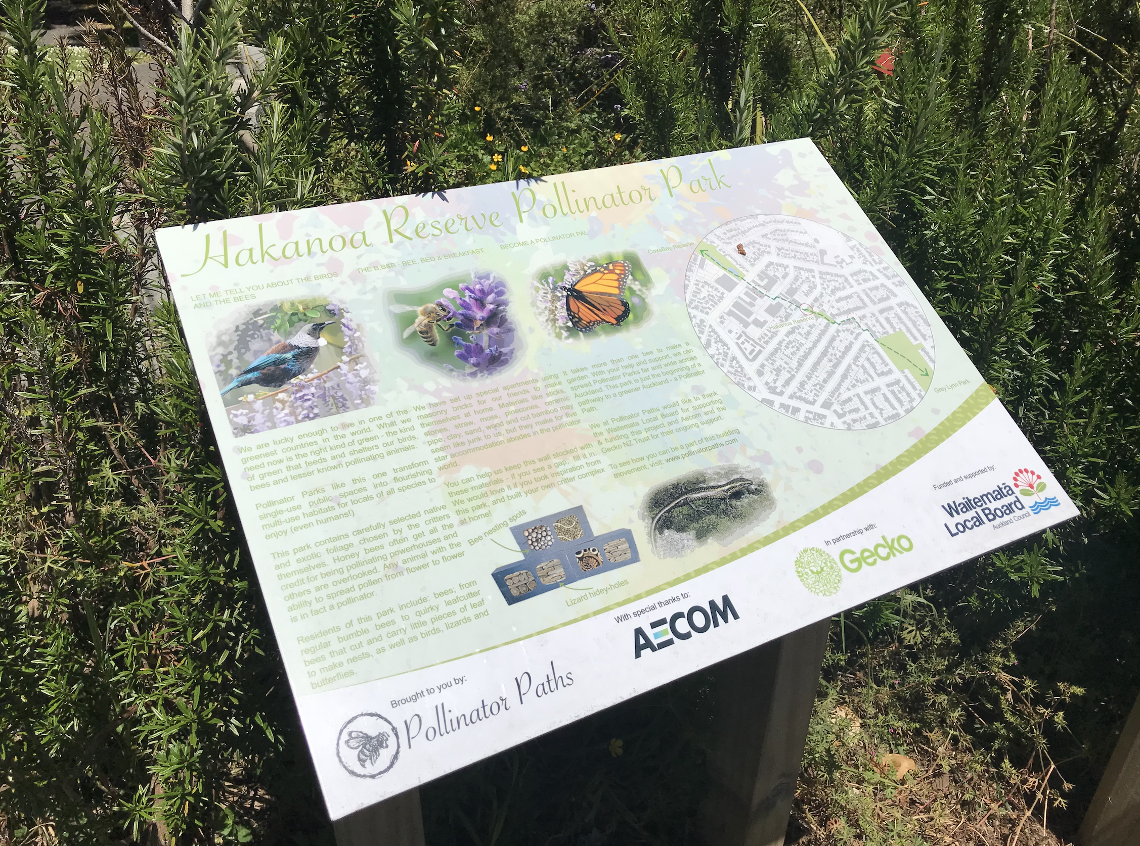 Andrea Reid has been working on the Pollinator Paths concept since 2014.