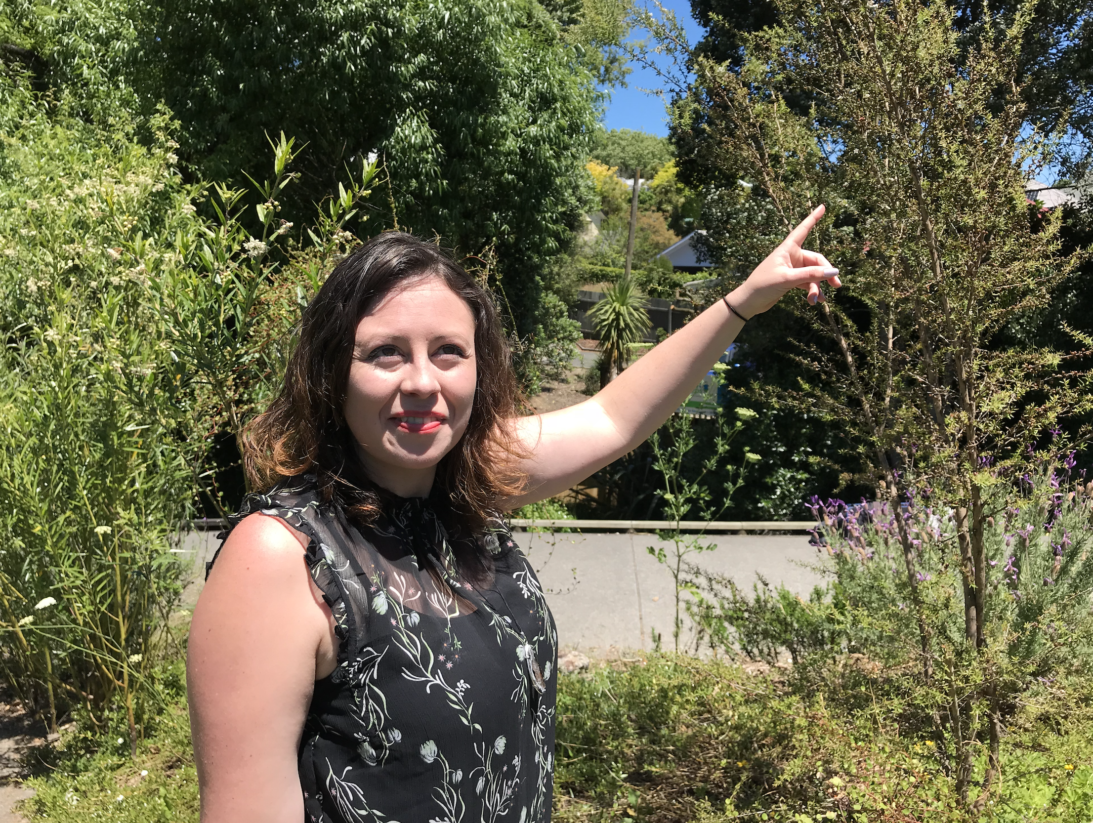 Pollinator Paths - a concept of connection for Auckland