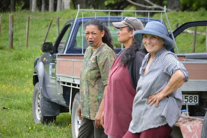 Hikurangi’s wider vision is to cultivate a variety of land use options, to ensure healthy whānau and healthy whenua.