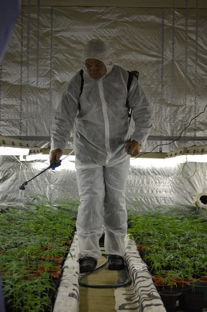 Manu Caddie believes farmers on the East Coast are open to the idea of cannabis as a crop.
