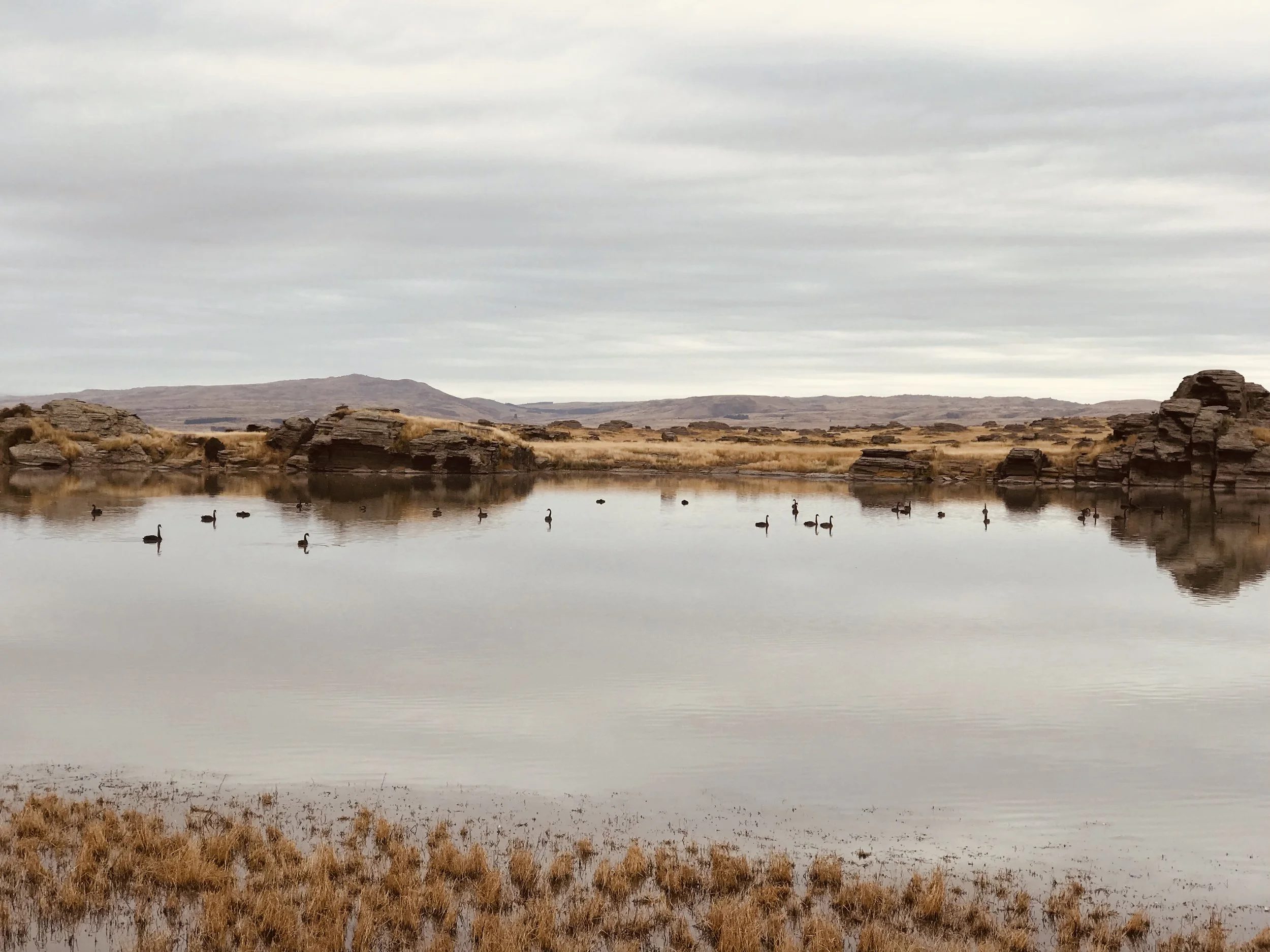 Landscape assessment and consistency