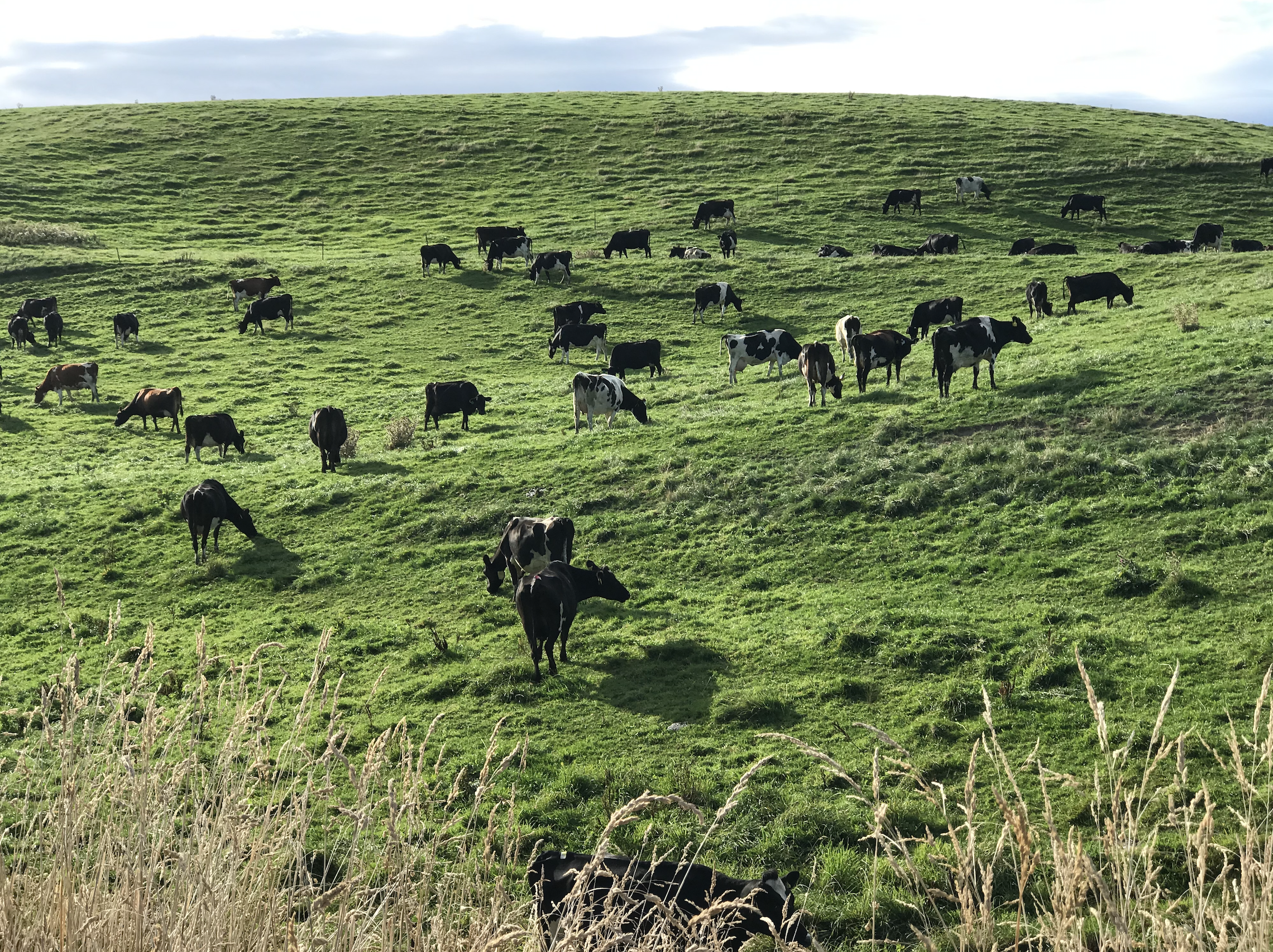 A key question facing our agricultural industry is how to feed a growing population in the face of climate change and resource concerns.