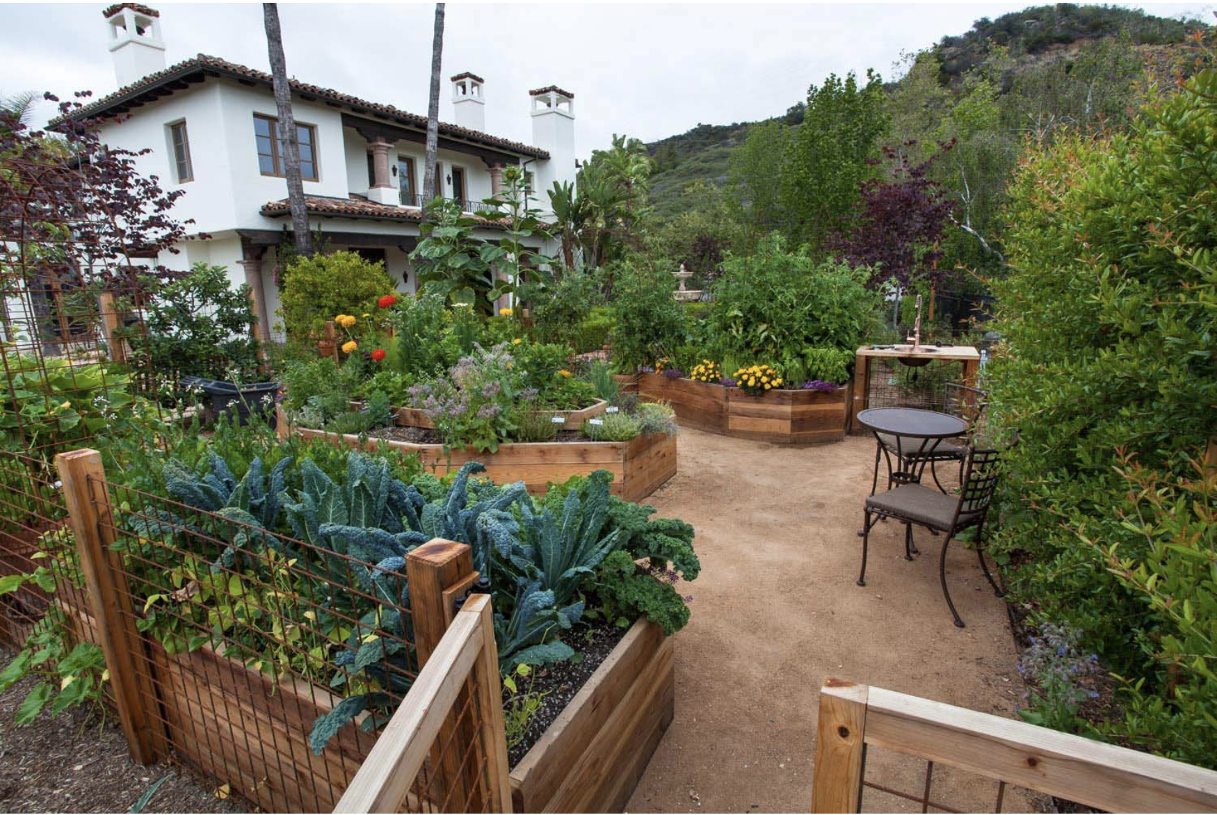Even in the driest times, the Southern California climate can sustain a rich and diverse landscape with few resources if the plant palette is climate-appropriate, and rainwater is captured and stored. Photo credit: Saxon Holt