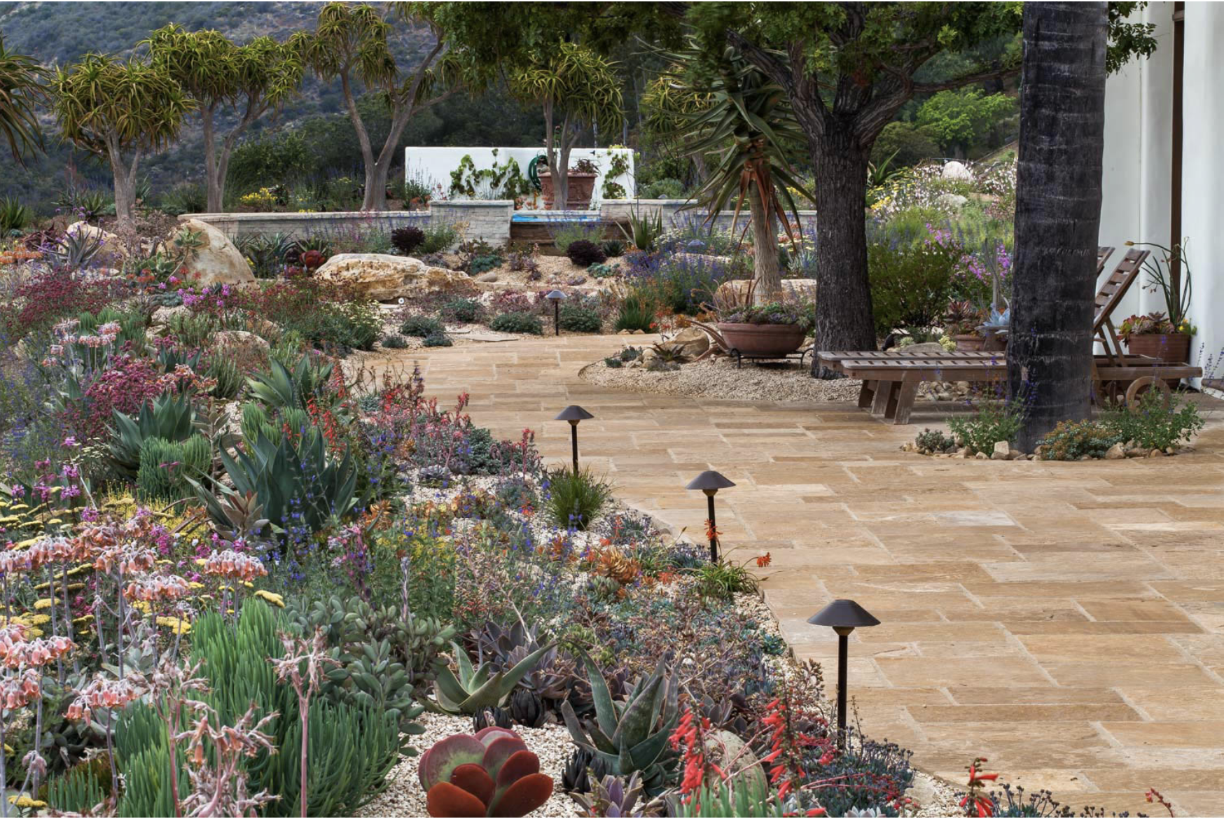Urban Water Group strongly believe that technology can enable drought resilient landscapes to become self-sustaining. Photo credit: Saxon Holt