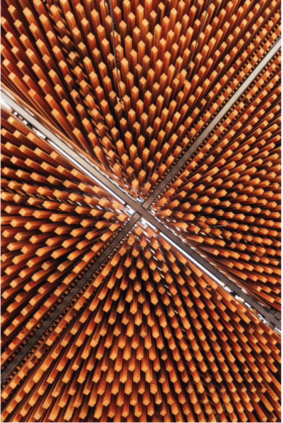 A matrix of timber cedar battens (almost 18km worth) are formed into cassettes and attached to steel-lattice trusses.