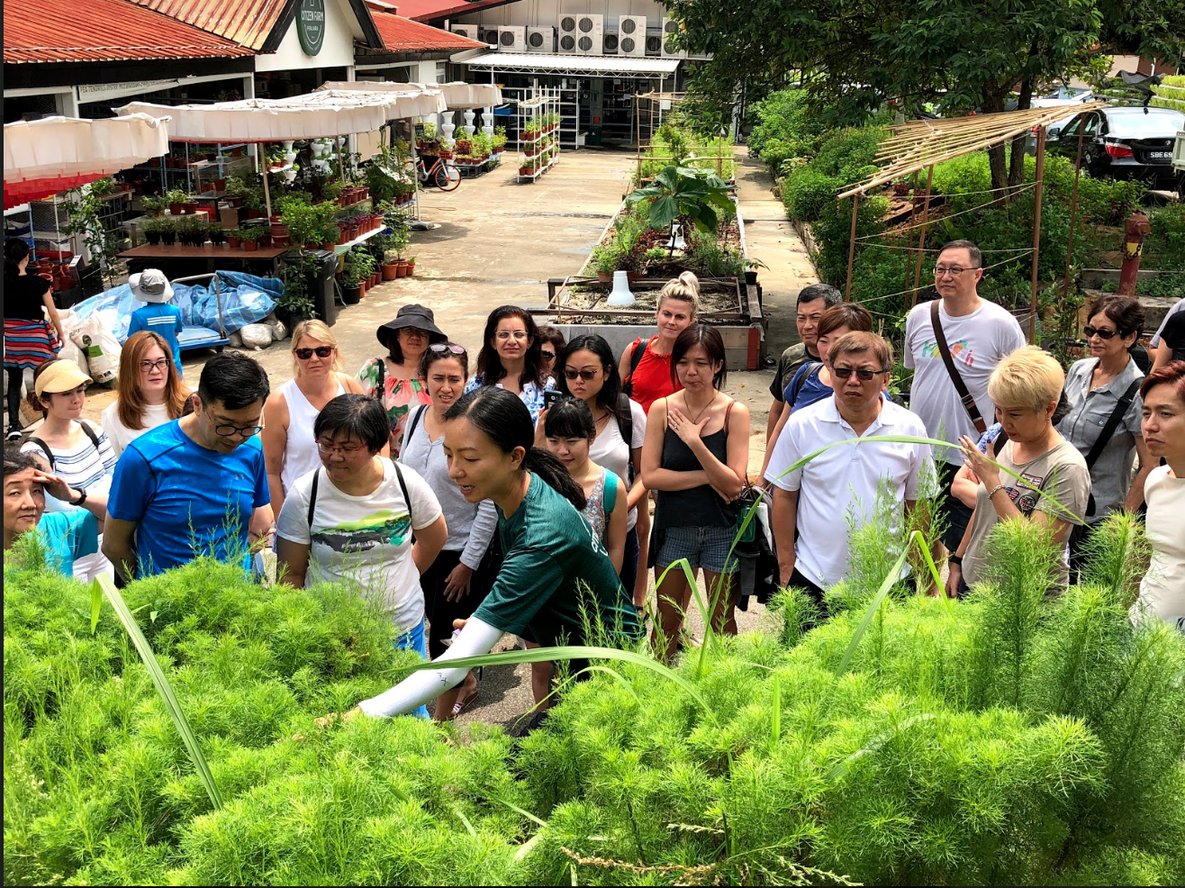Edible Garden City conducts regular workshops and outreach, to empower and teach Singaporeans to grow their own food. Photo credit: Edible Garden City.
