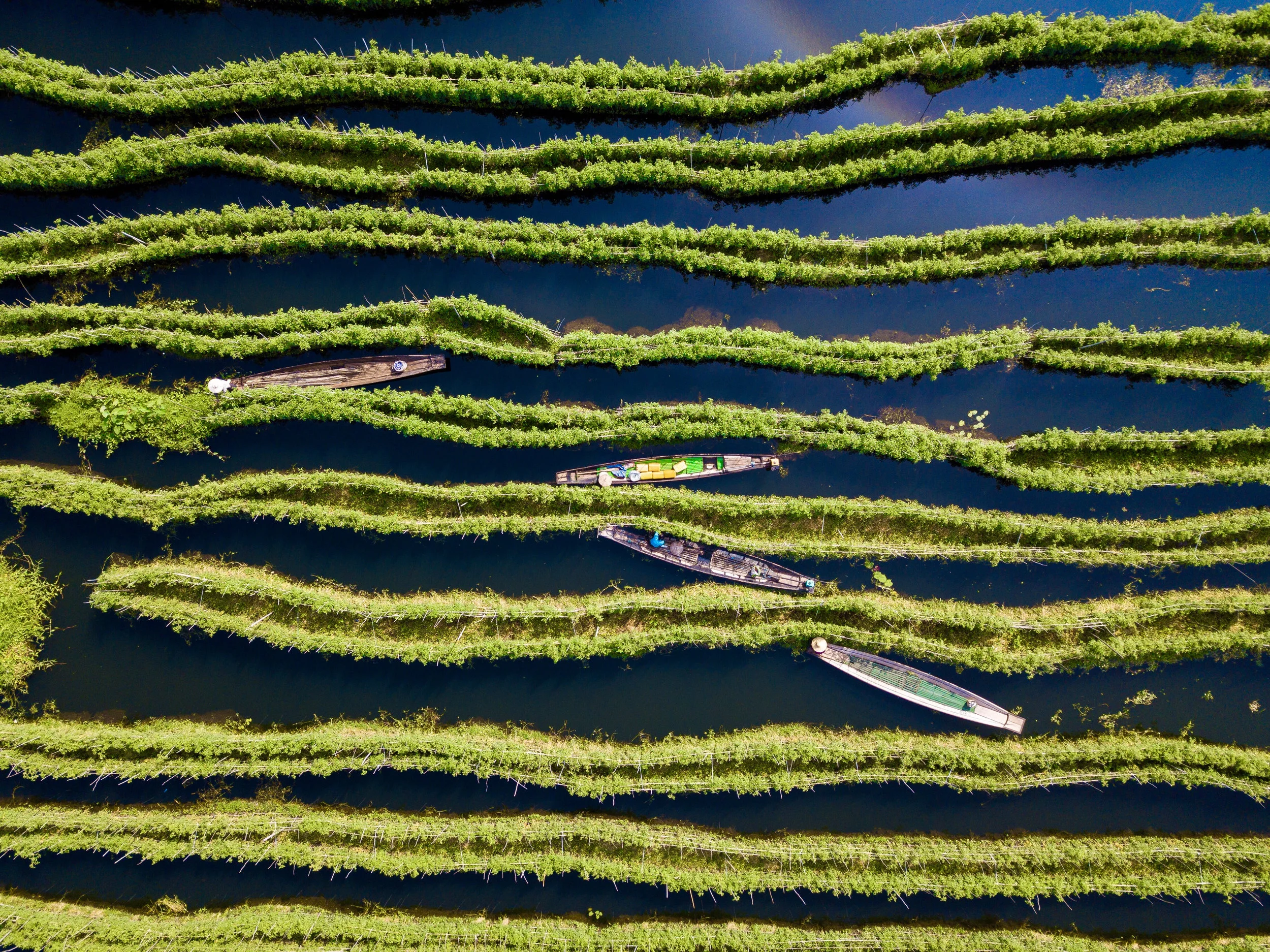 Floating gardens, Granollers, Spain. Photo: Carles Alonson/AGORA images