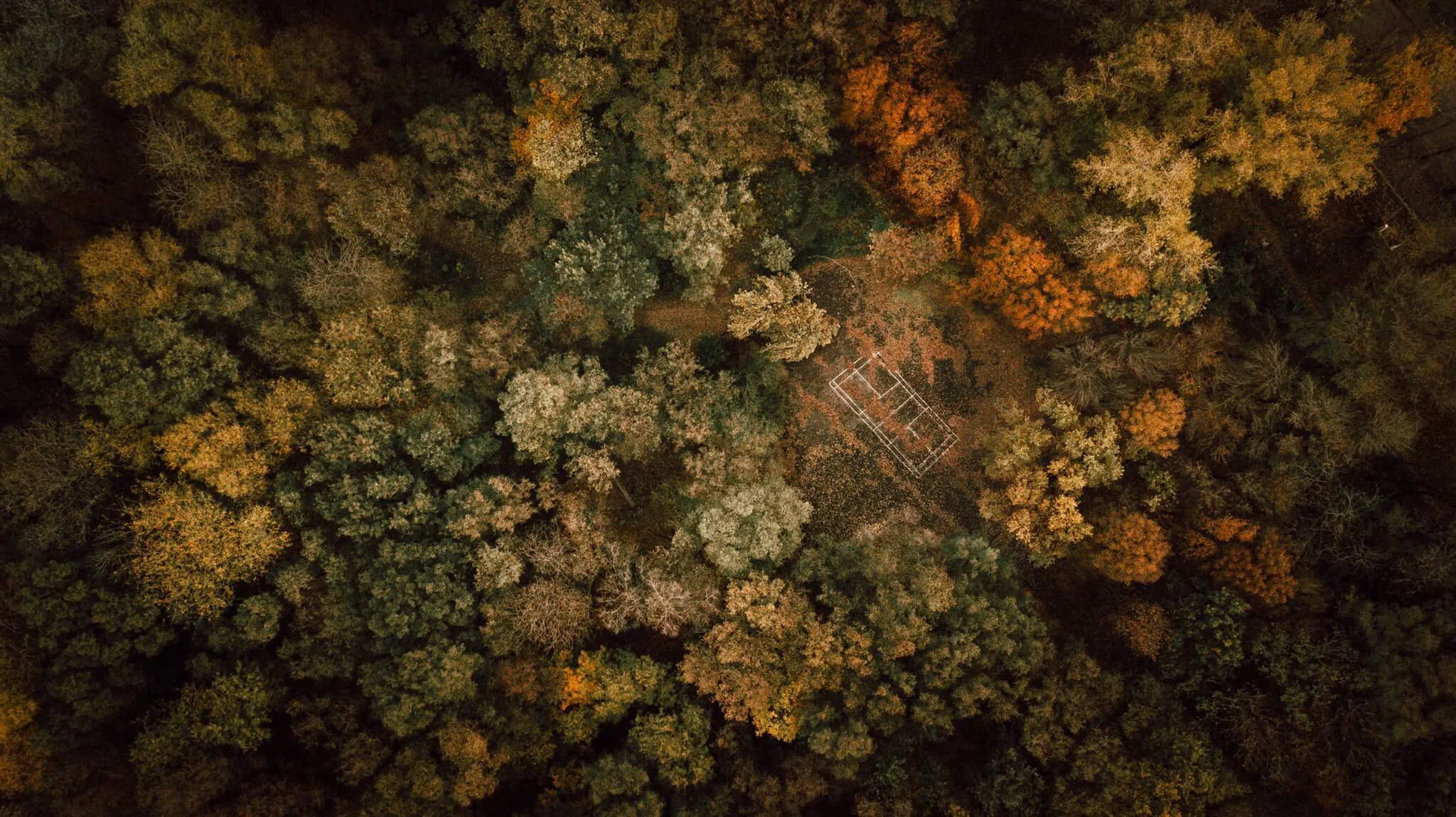 Autumn game, Dnipropetrovsk Oblast, Ukraine. Photo: David Carbonell/AGORA images