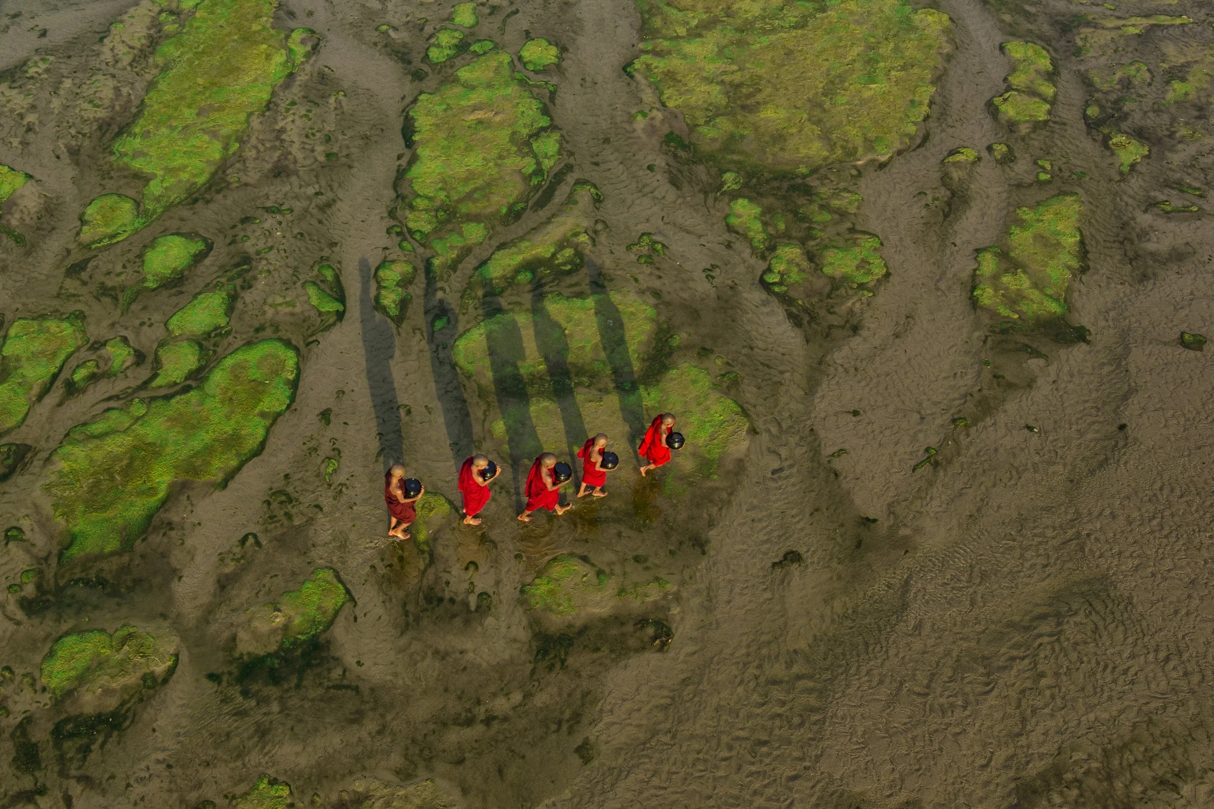 Bird's-eye view of the world
