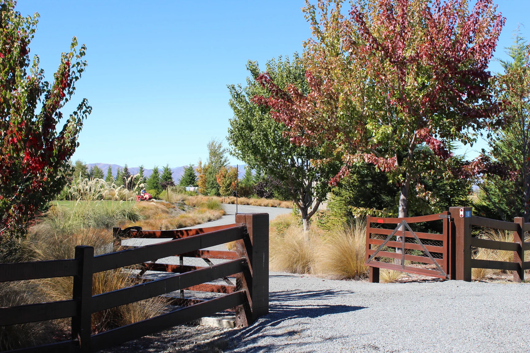 Entrance to the property creates sense of arrival with maples and winding driveway.jpg