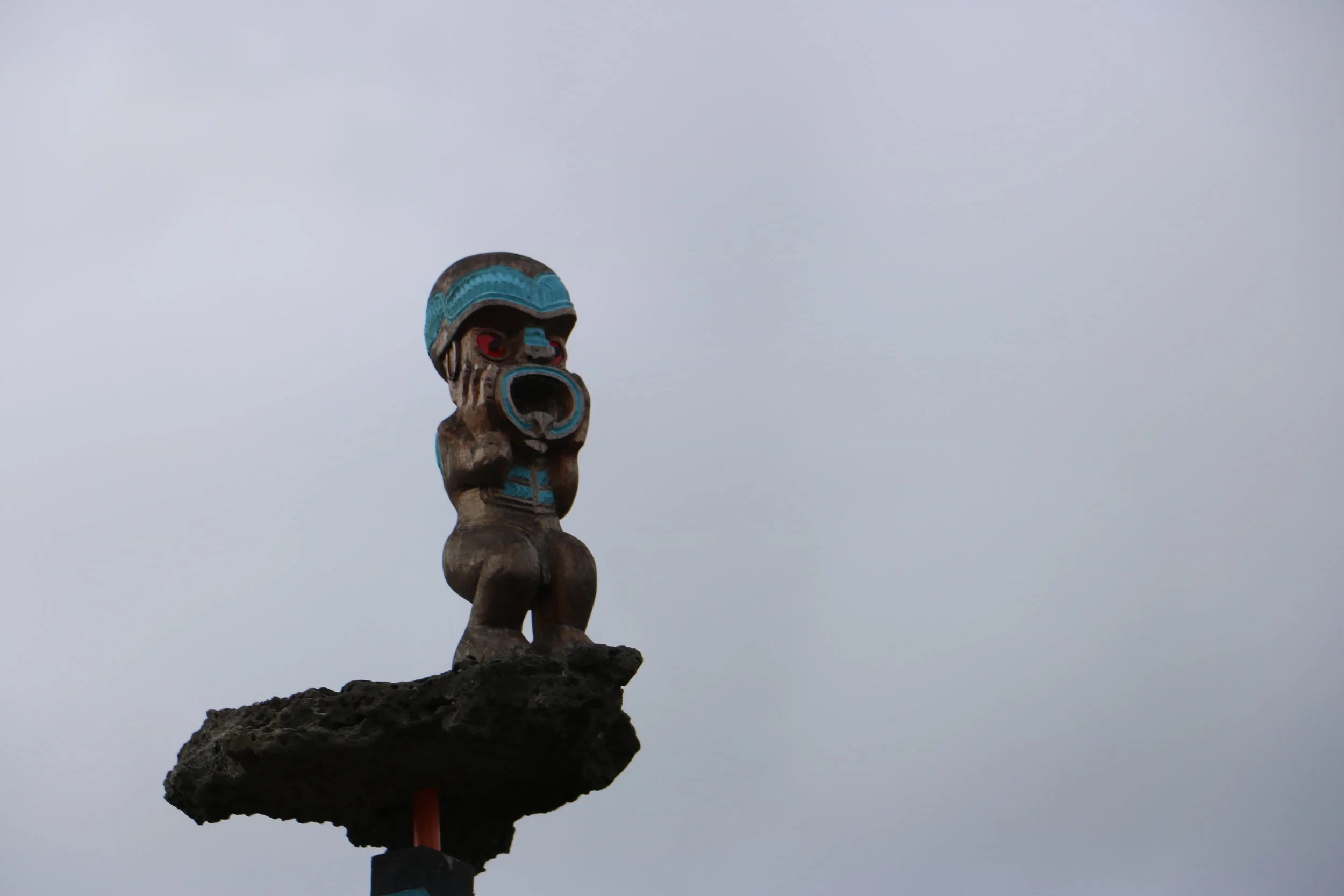 Hape - Protect Ihumatao. Image courtesy of Yamen Jawish