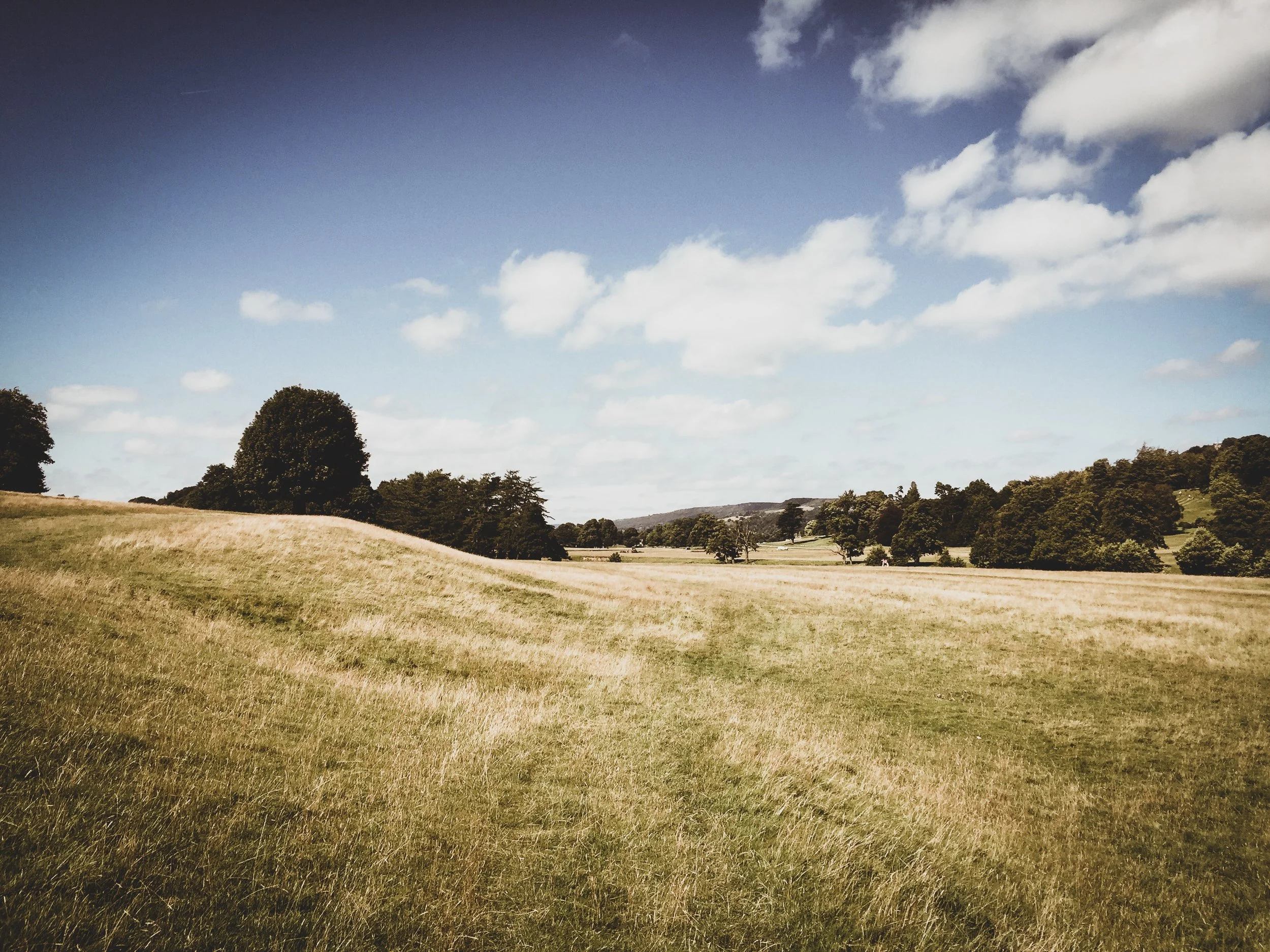 Derbyshire. Photo by Sam Johnson from Pexels