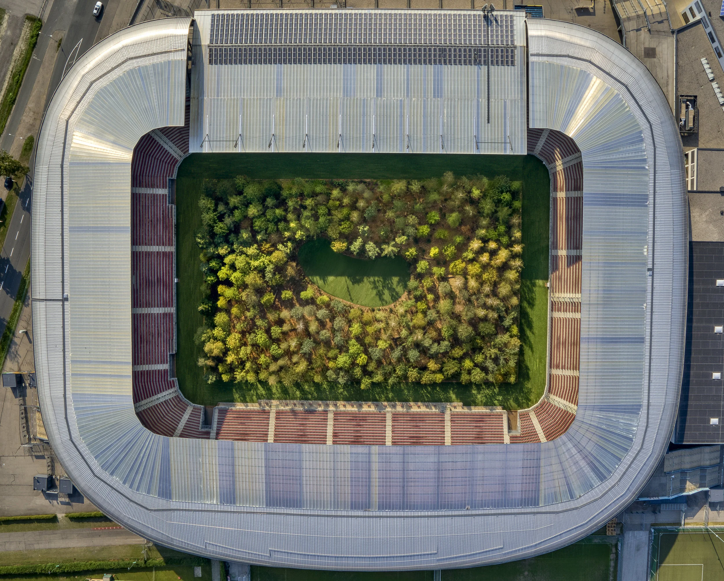 Forest in a stadium
