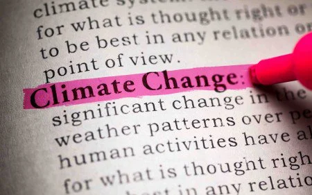 A growing section of the public are calling for more action and leadership on climate change.