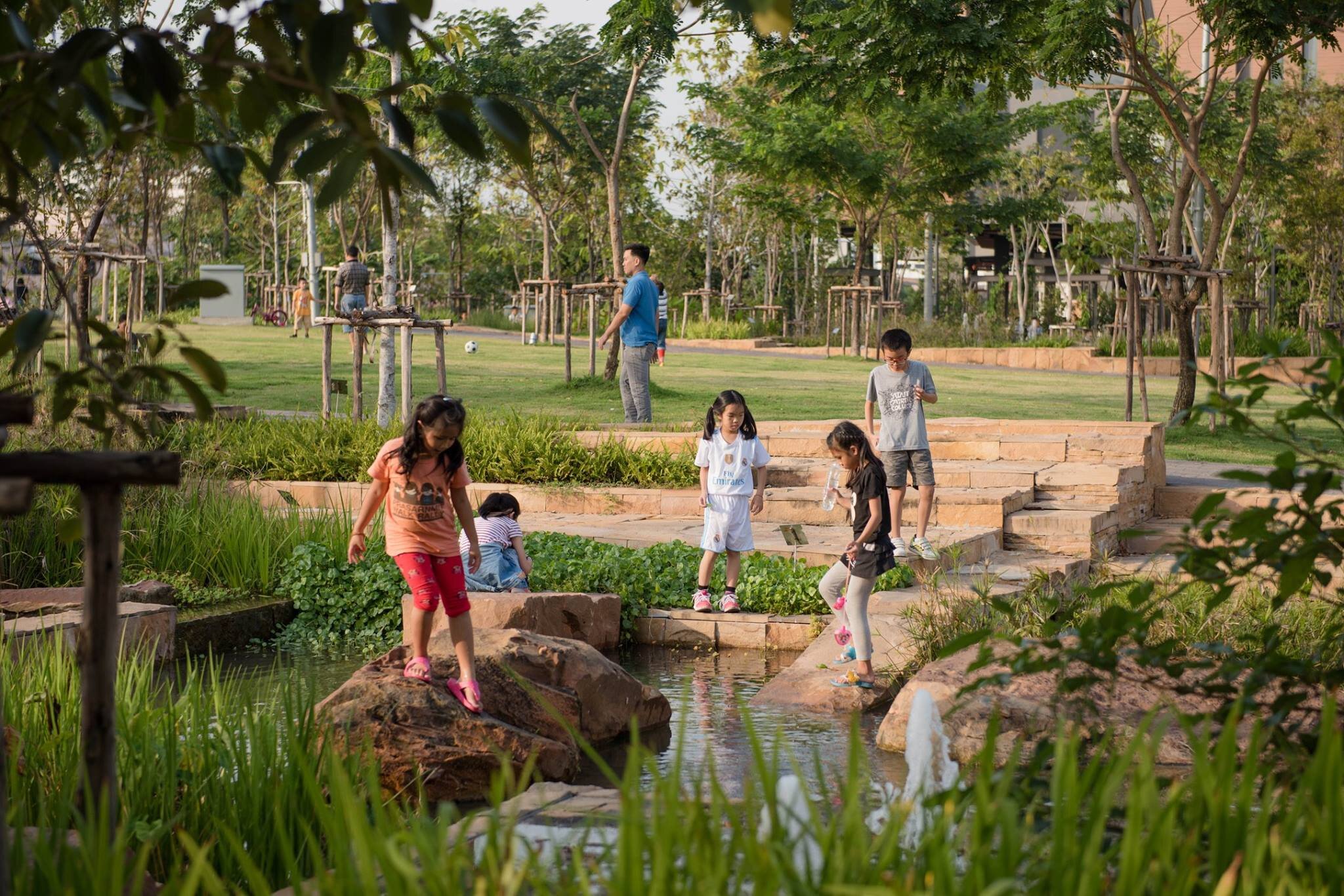 Chulalongkorn University Centenary Park - wetland. Photo credit: LANDPROCESS