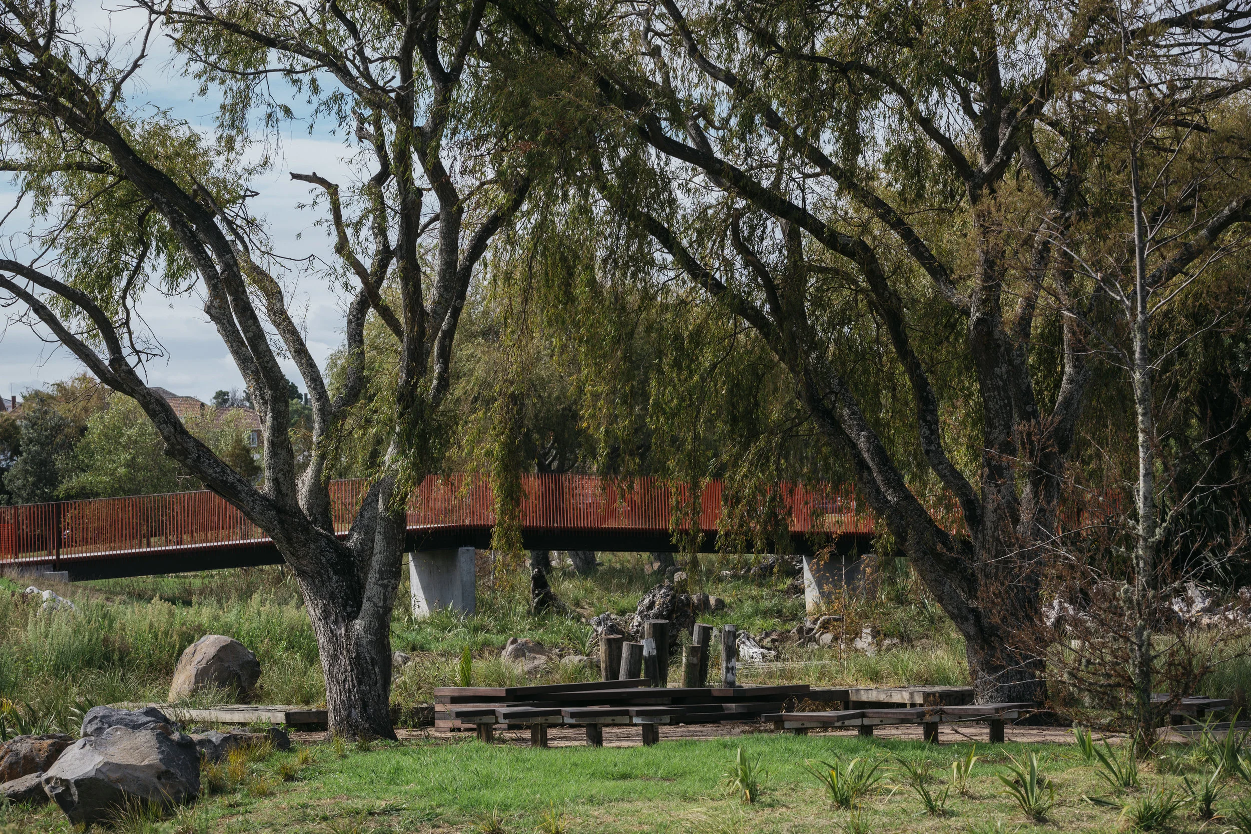 A Healthy Waters project in Auckland wins Sustainability Award 