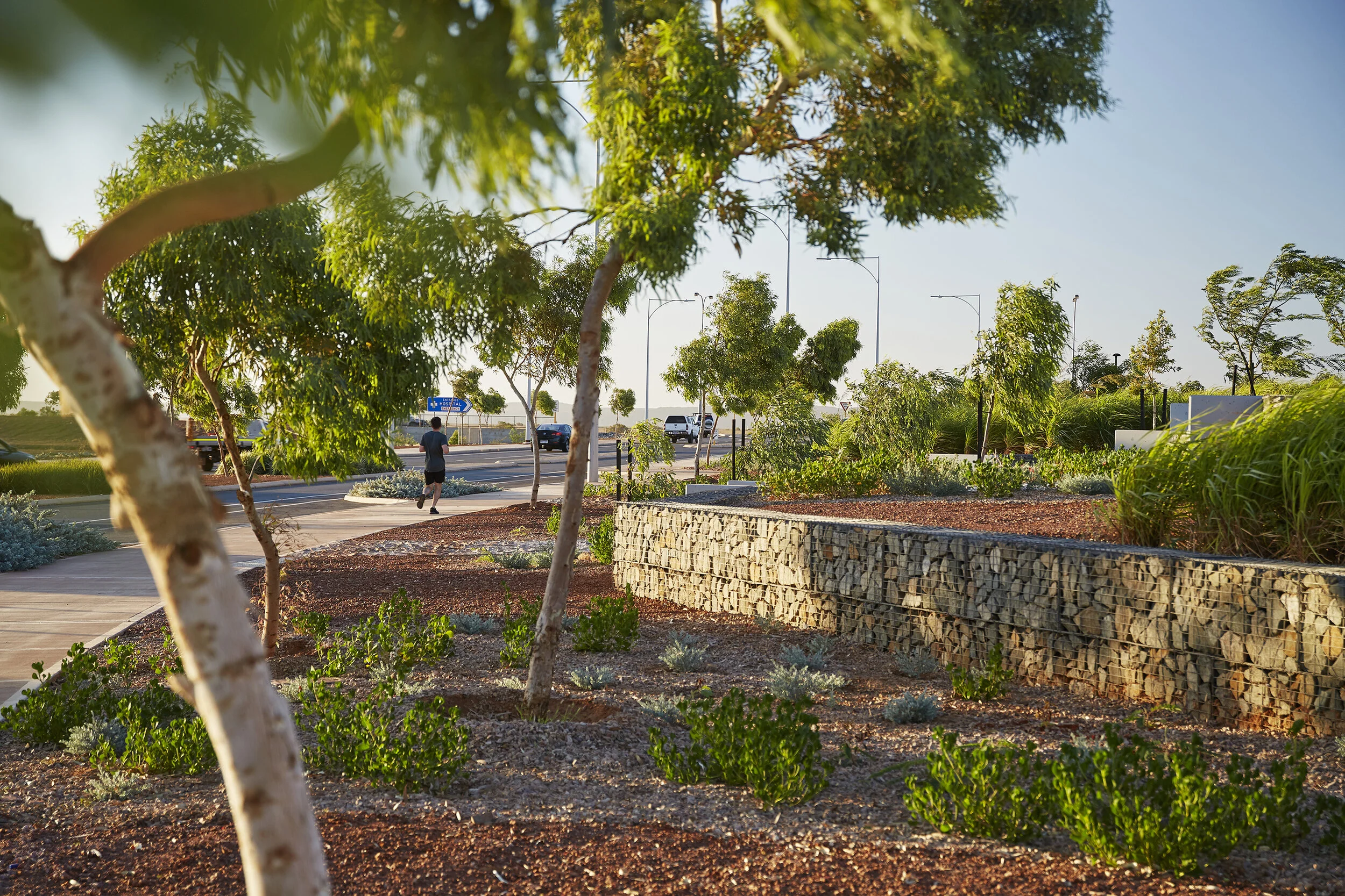 Karratha Health Campus from sandpit to oasis — LANDSCAPE ARCHITECTURE
