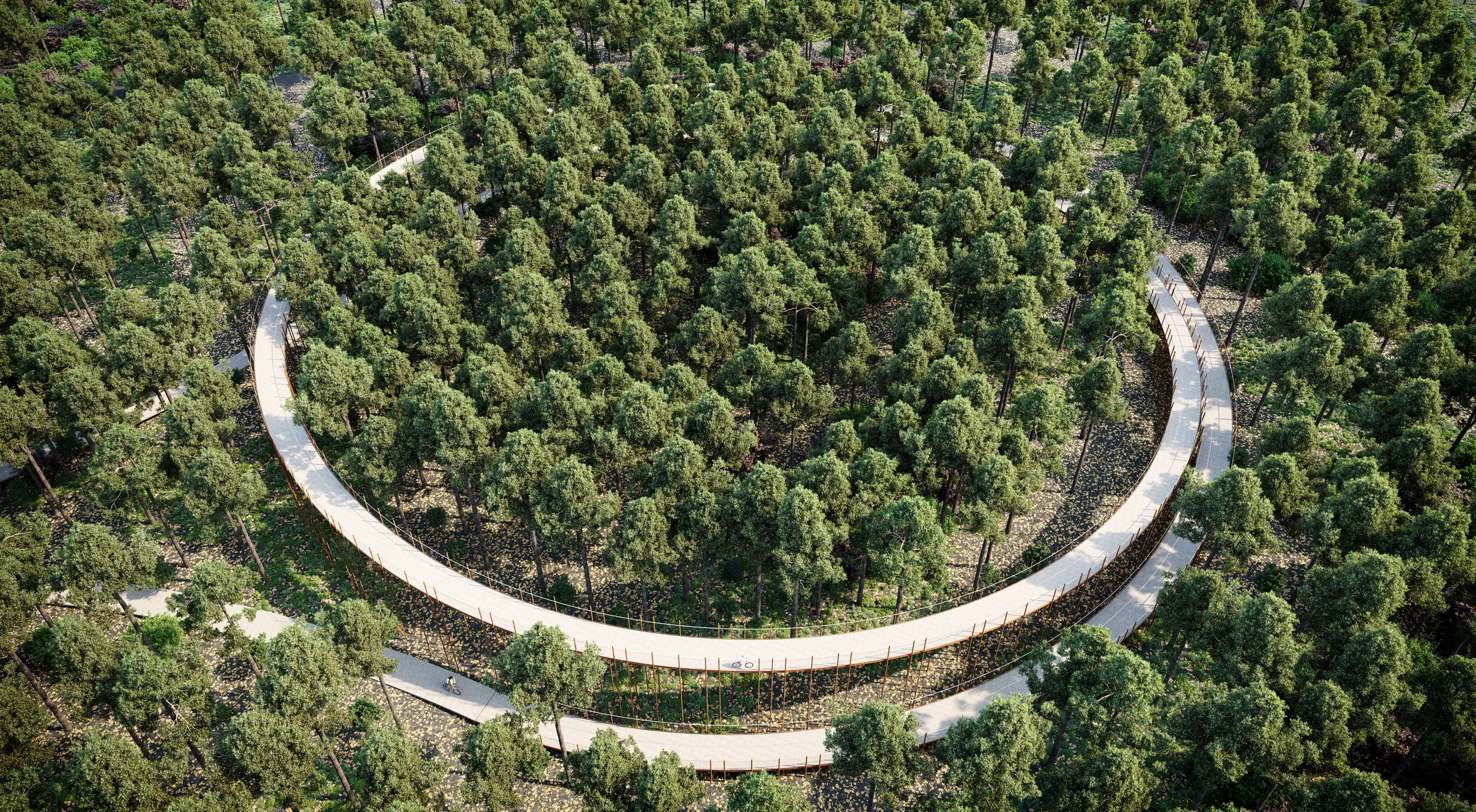 Cycling Through The Trees Landscape Architecture Aotearoa cycling through the trees landscape