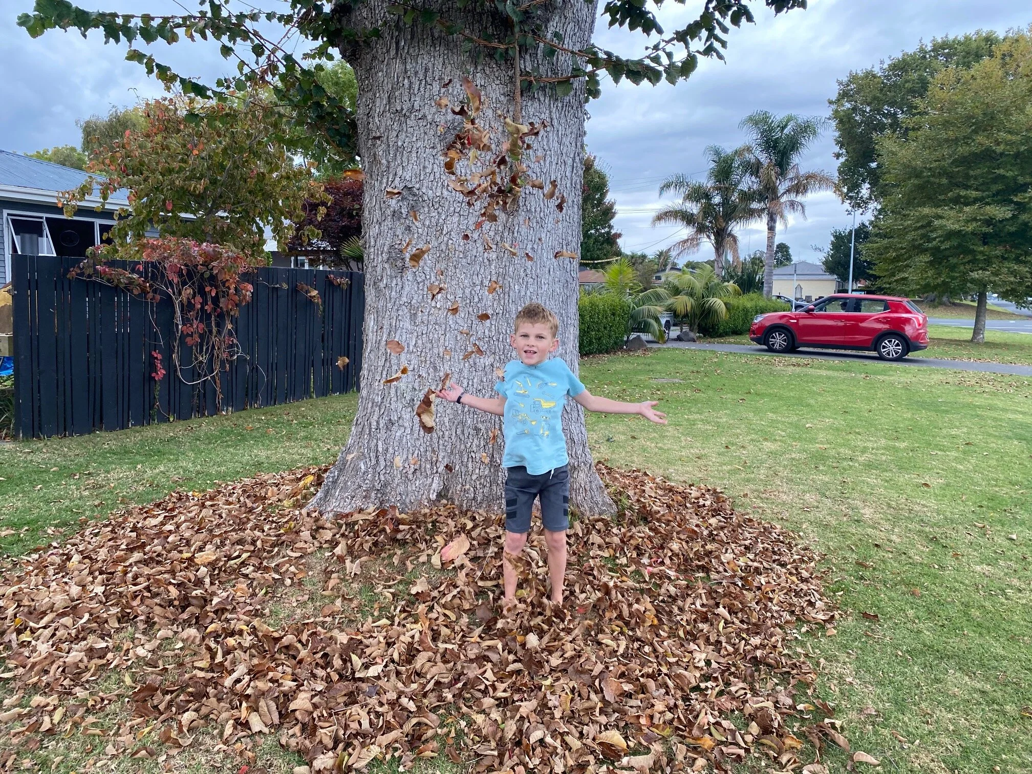 Living with the lockdown - finding the positives