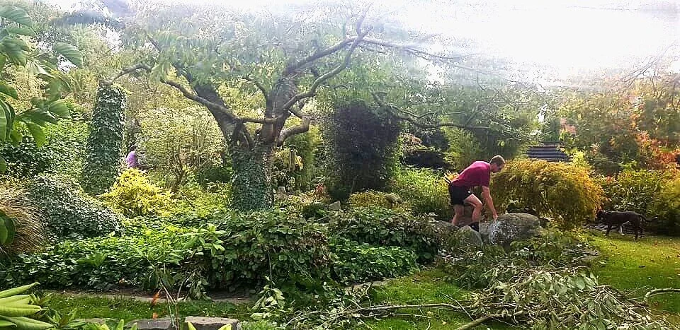 “I love gardening in the autumn. Over summer everything looks so charming that you’re willing to overlook areas that are out of control. By autumn you’re ready for a big clear out! Pruning, limbing and pulling to reveal the essential form of the garden and letting in the light. What could be more inspirational?”