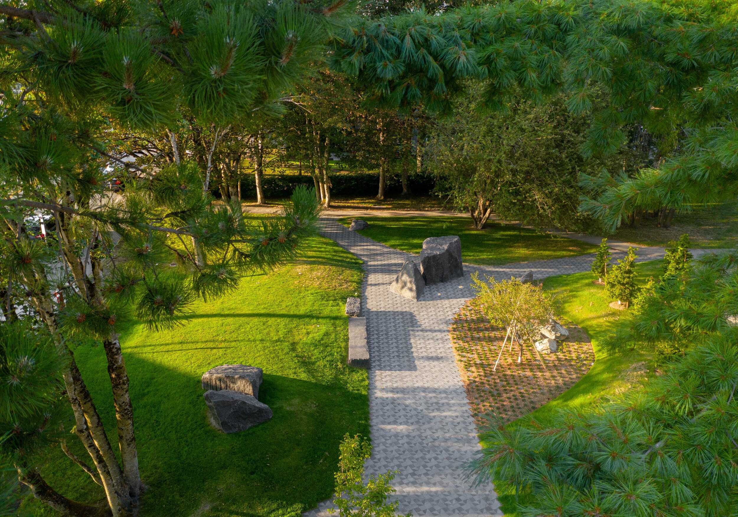 Resilient rise of a mistreated community