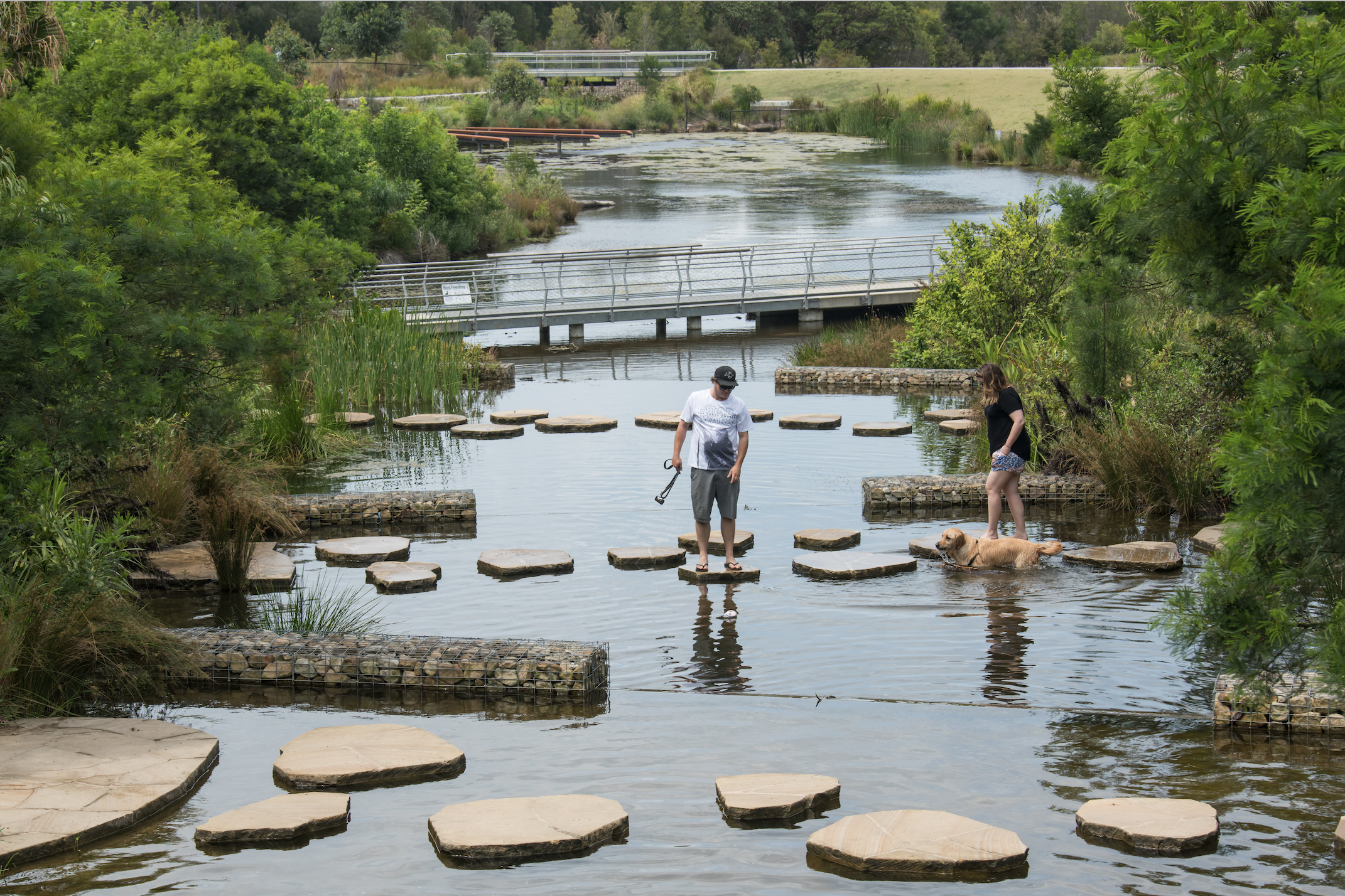 The reinvention of Sydney Park