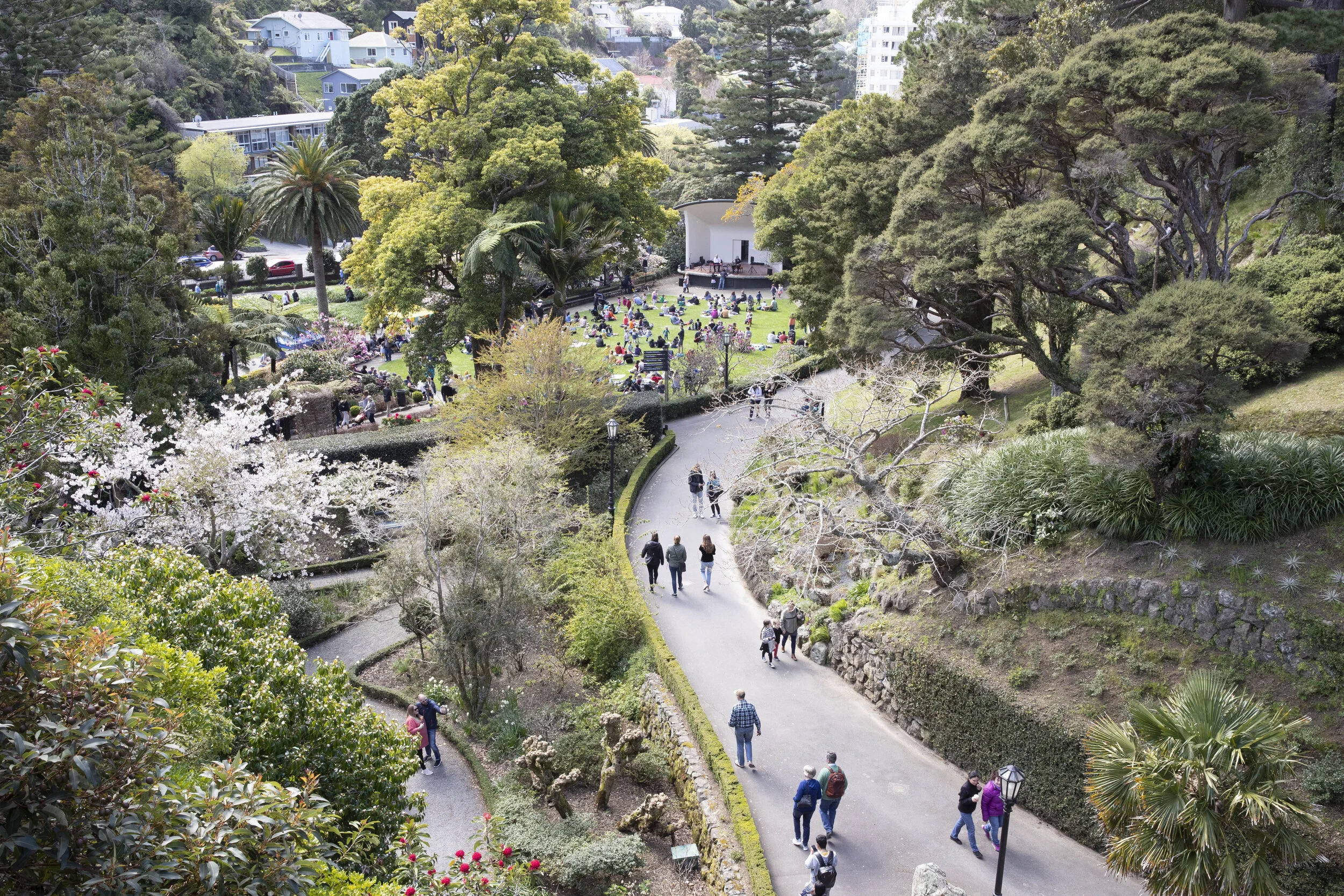 Wellington Botanic Garden. Photo credit: Nick Gee for Wellington City Council.
