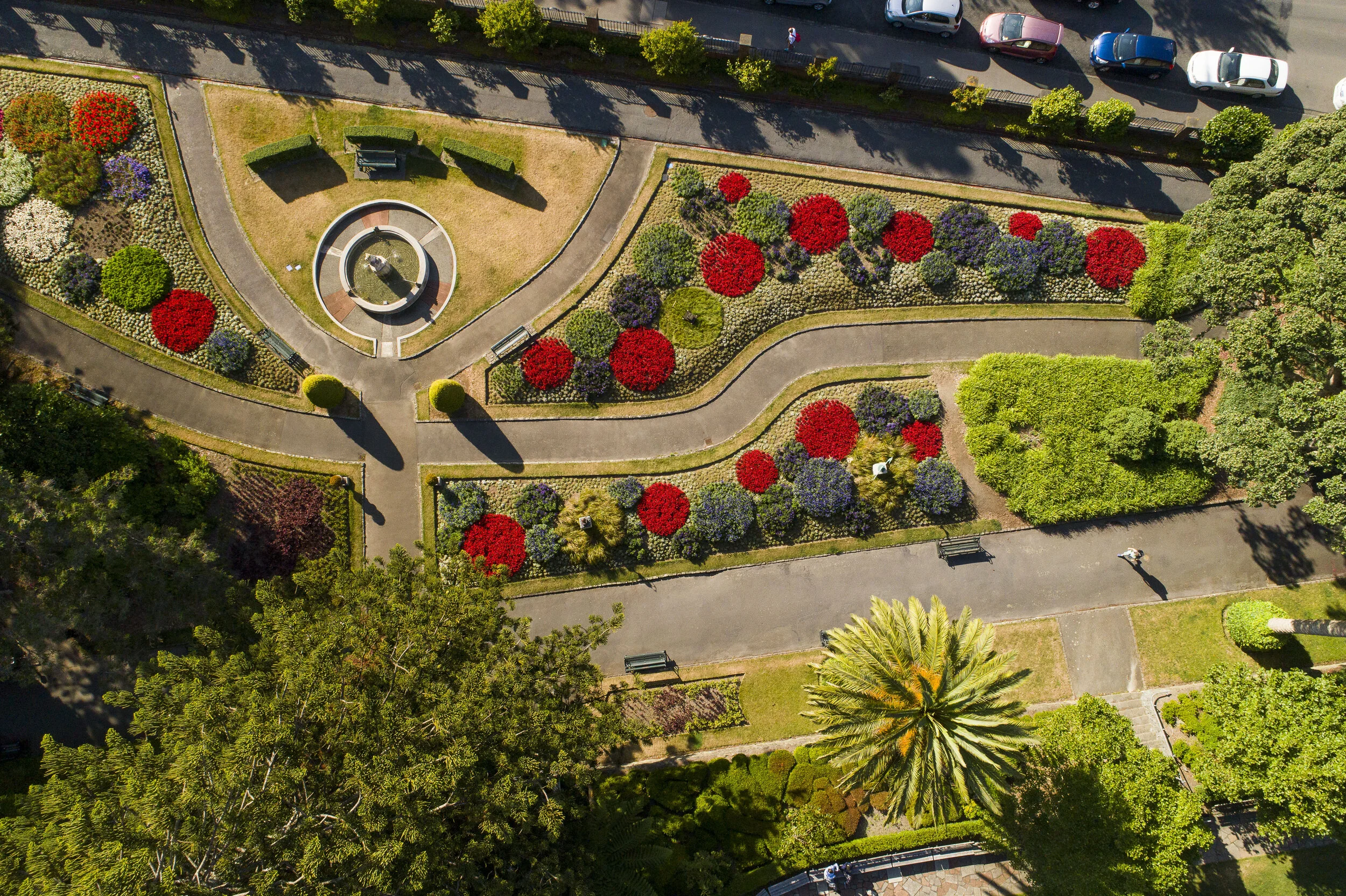 Wellington takes another step in its te reo journey