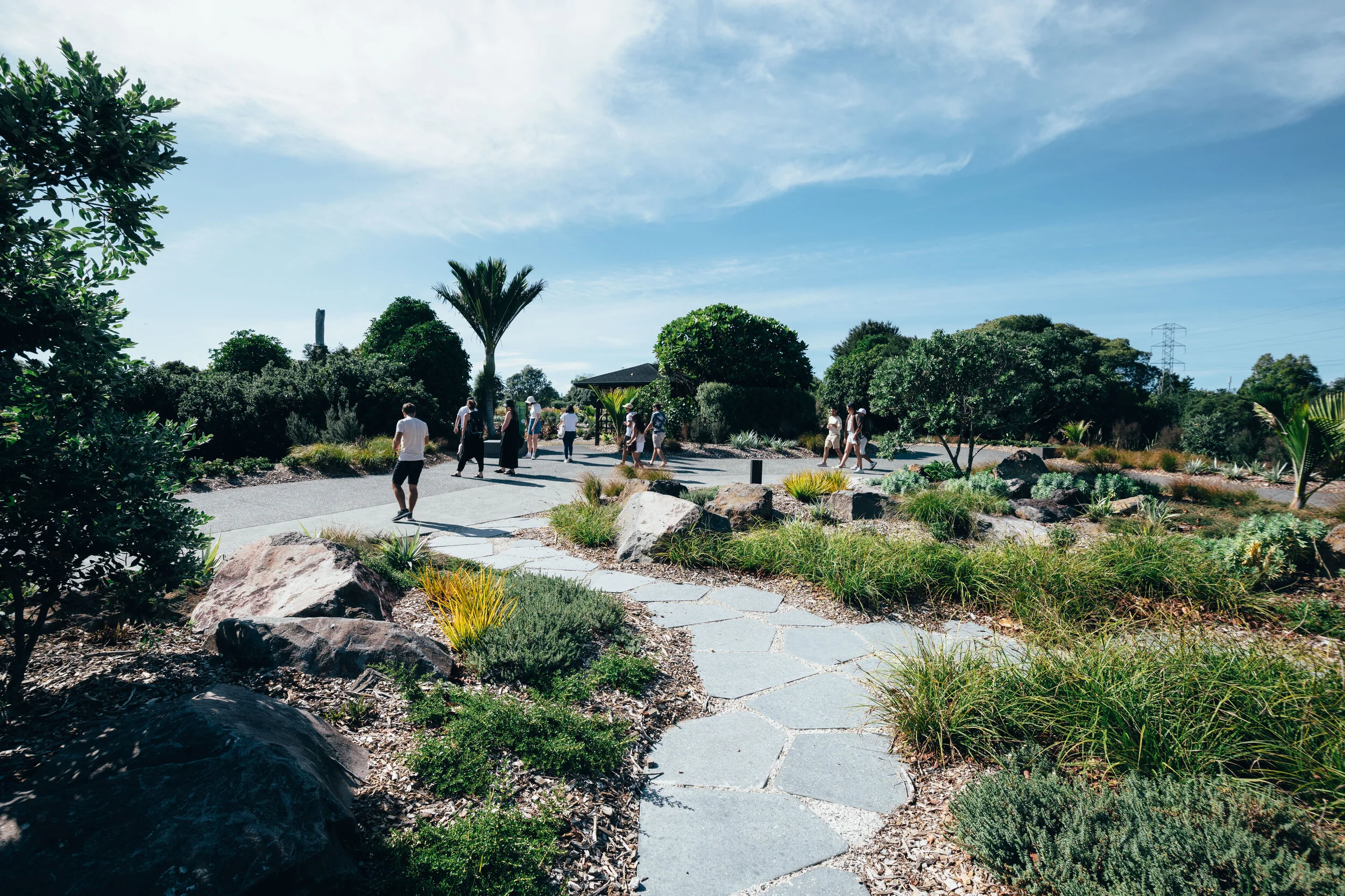 The Pacific Path brings Botanic Gardens Masterplan to life.