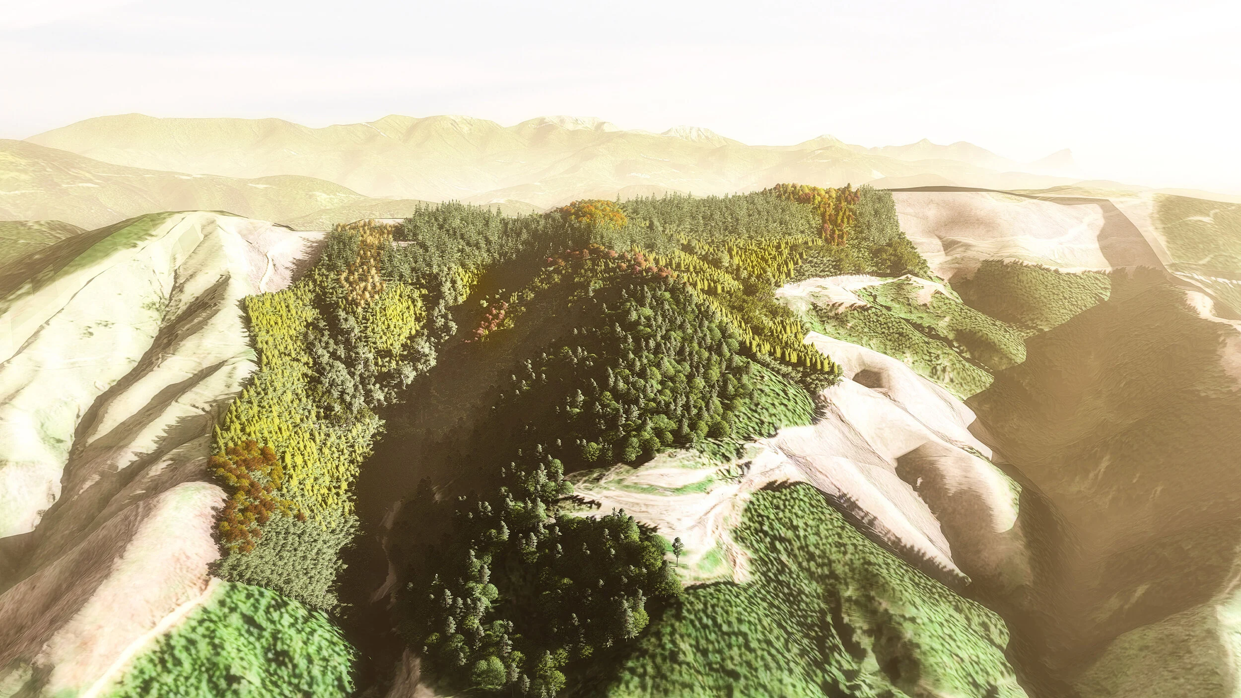 Creating a landmark in Richmond