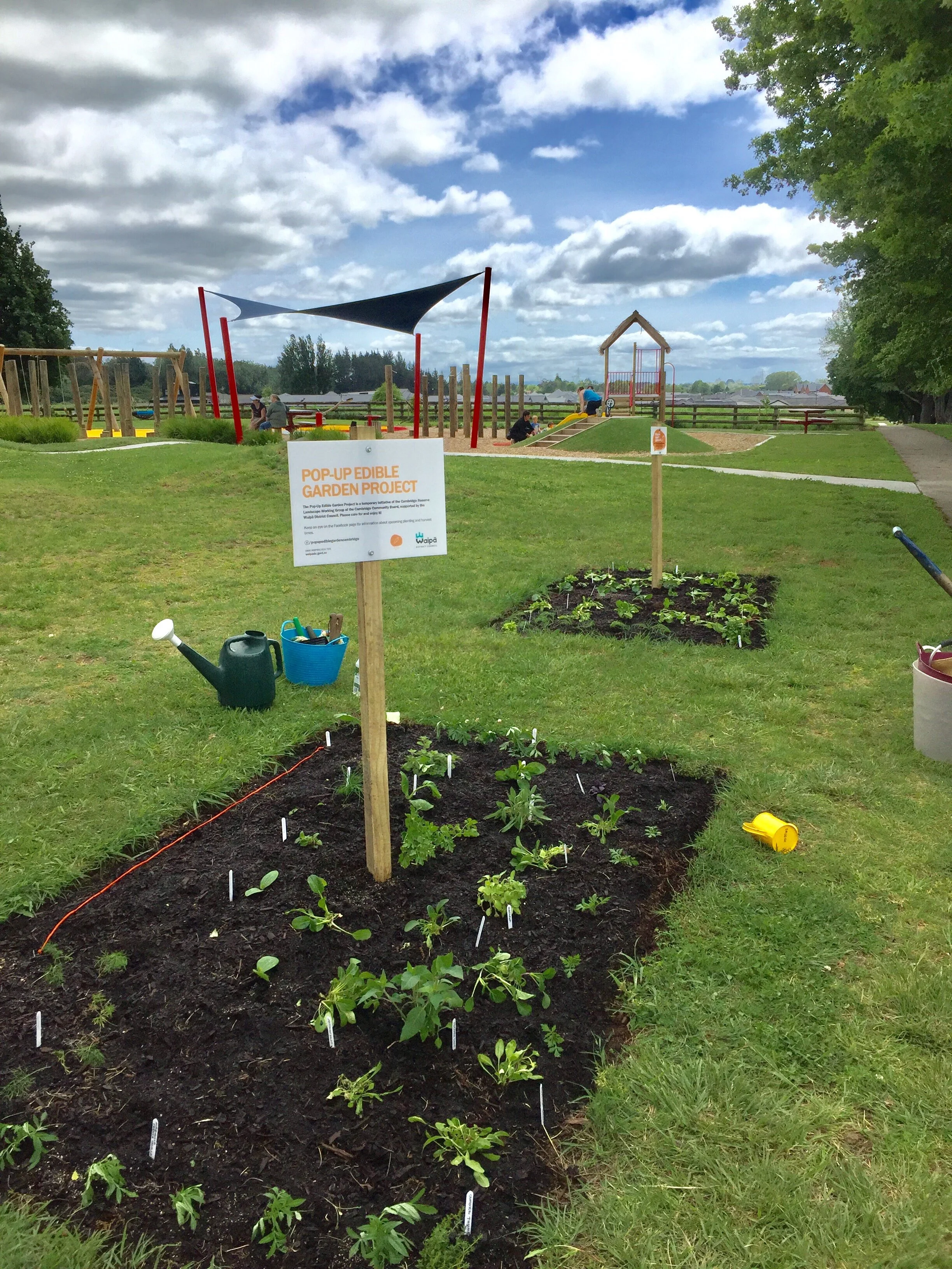 Planting community gardens in public parks